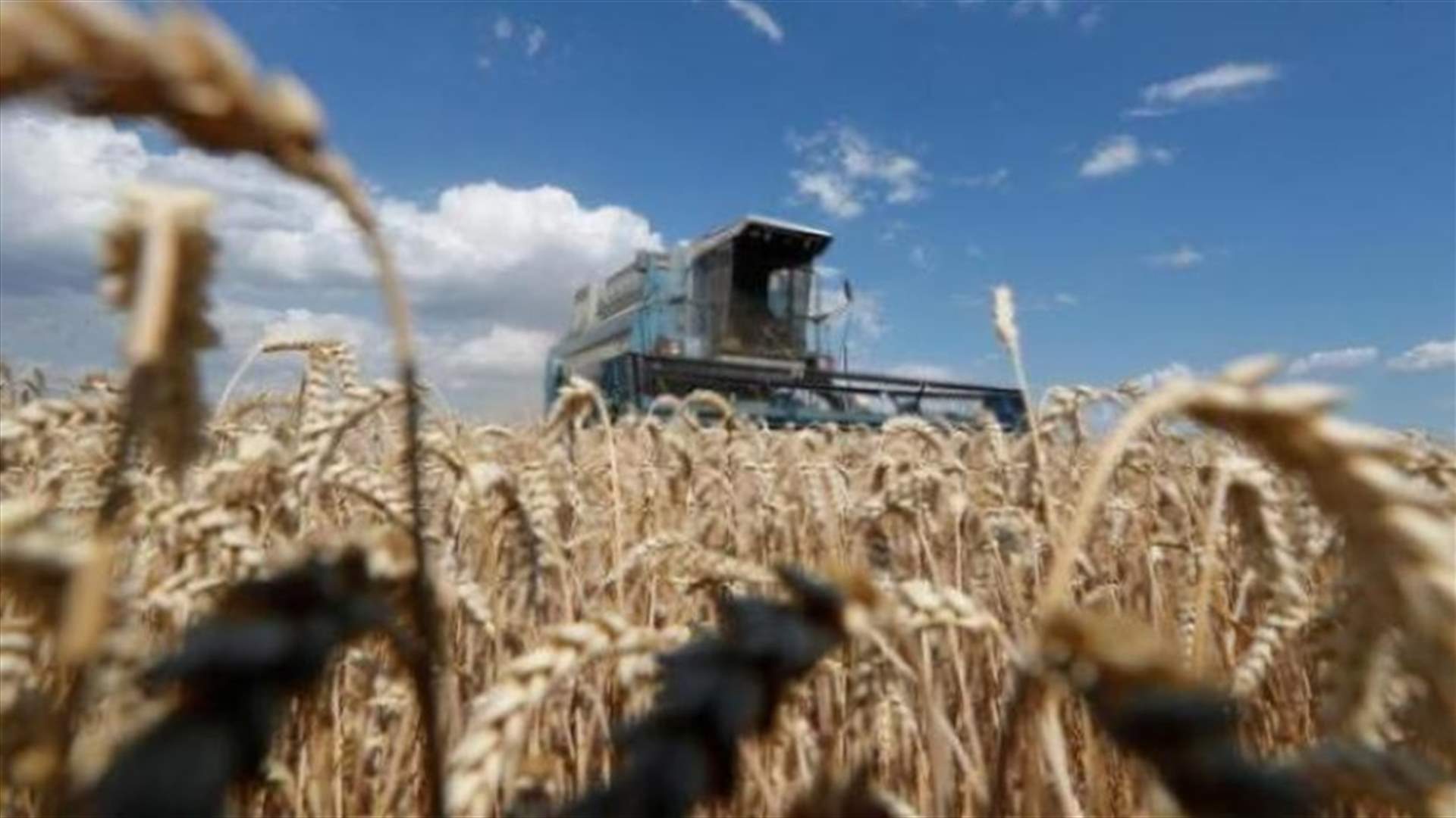 أنقرة تعلن إنتهاء محادثات إسطنبول بشأن الحبوب الأوكرانية
