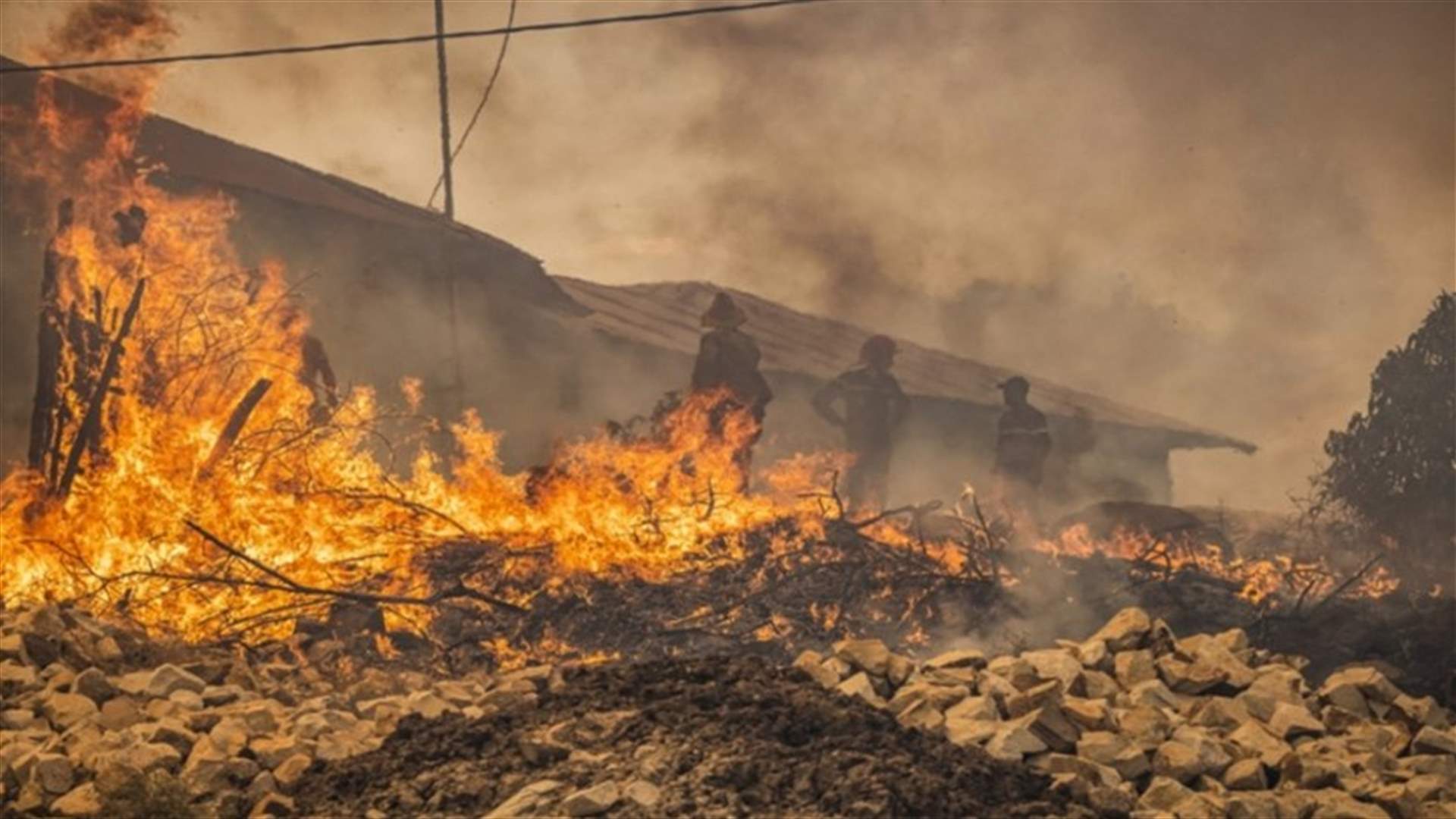 قتيل وإجلاء ألف عائلة بسبب حرائق الغابات في المغرب