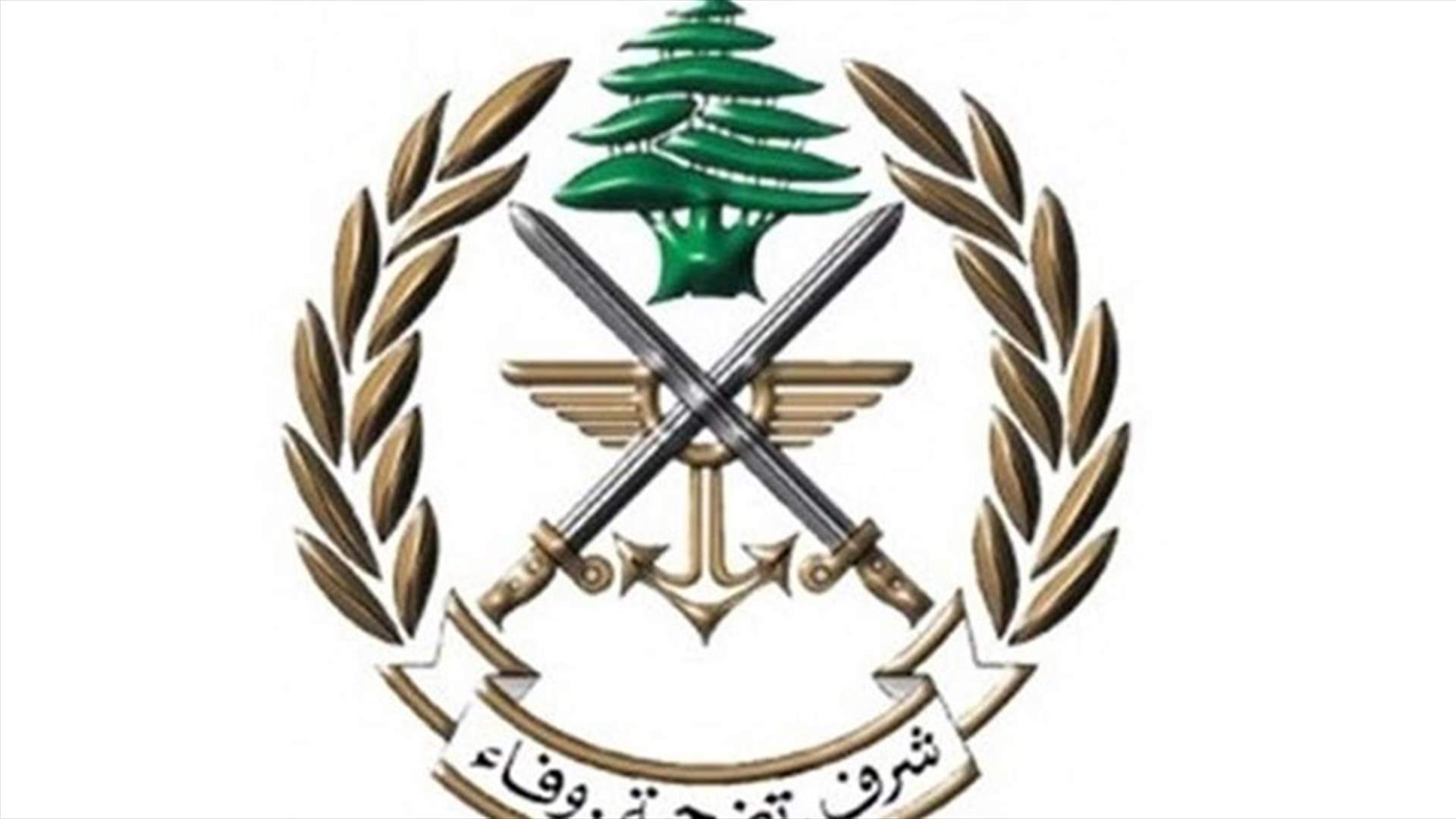 الجيش ينفذ تمريناً مشتركاً يحاكي فرضية القضاء على مجموعة إرهابية (فيديو)