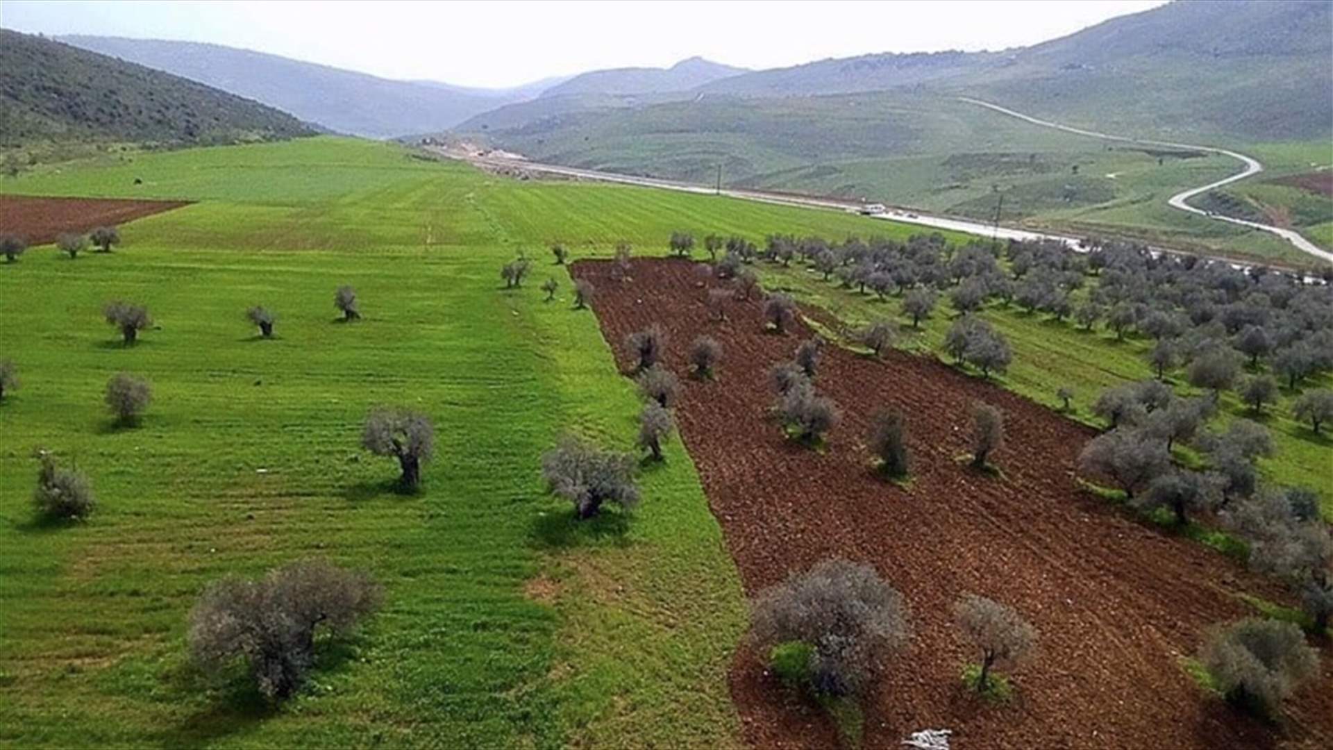 حريق في سهل الميدنة في كفررمان والدفاع المدني يعمل على محاصرة النيران