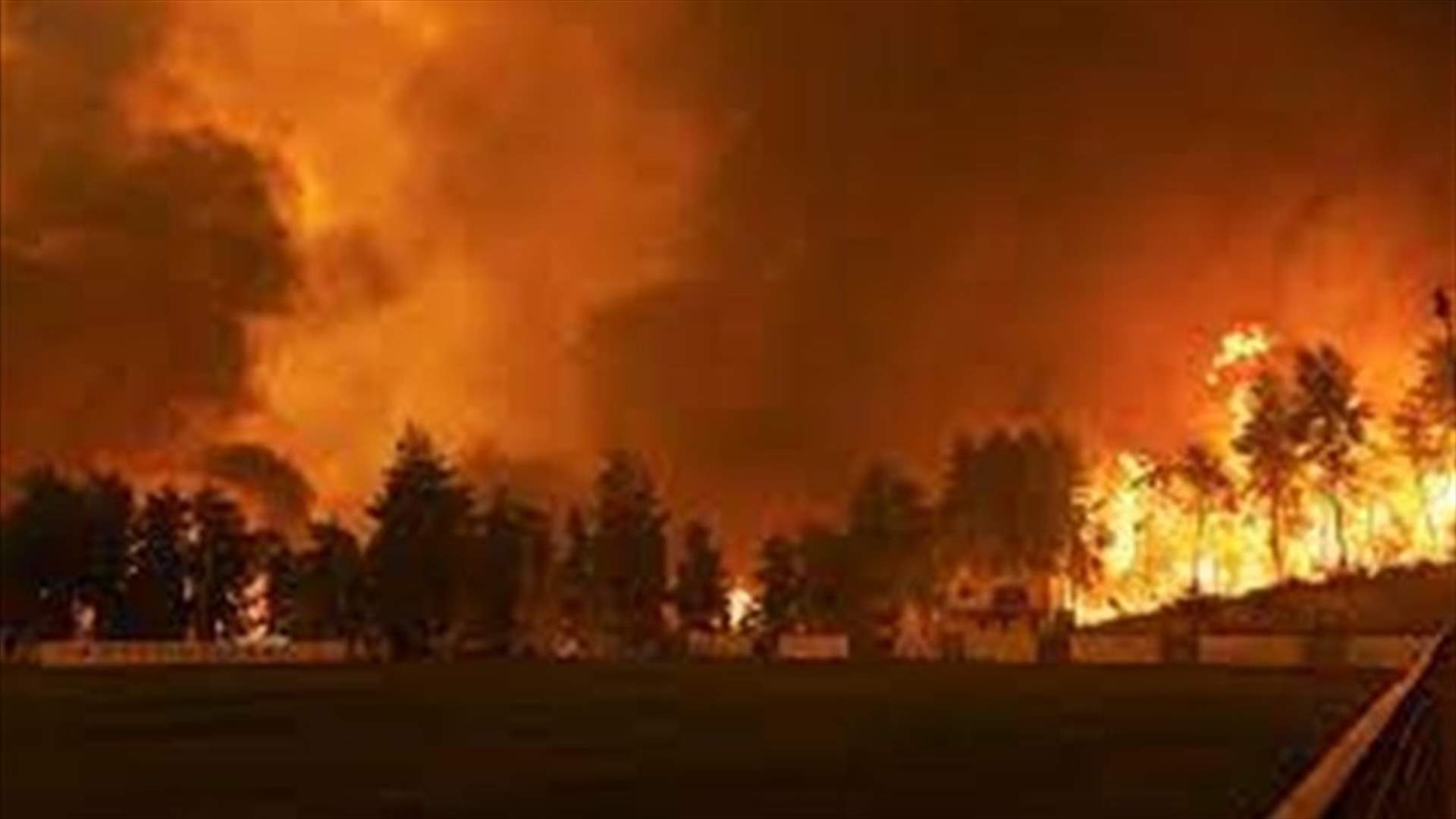 Greece combats forest fires amid heat wave