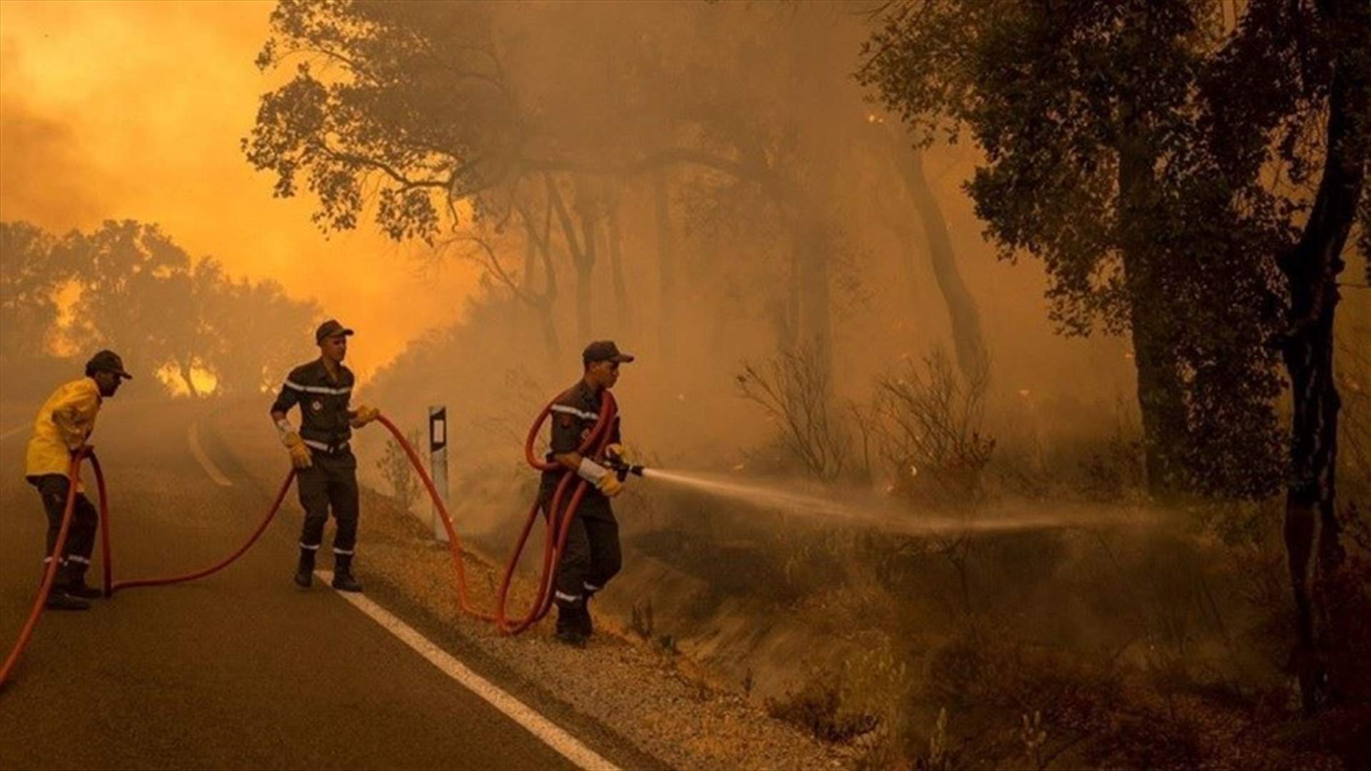 ملاحقة شخص في المغرب للاشتباه في تسببه بحريق غابات عن طريق الخطأ