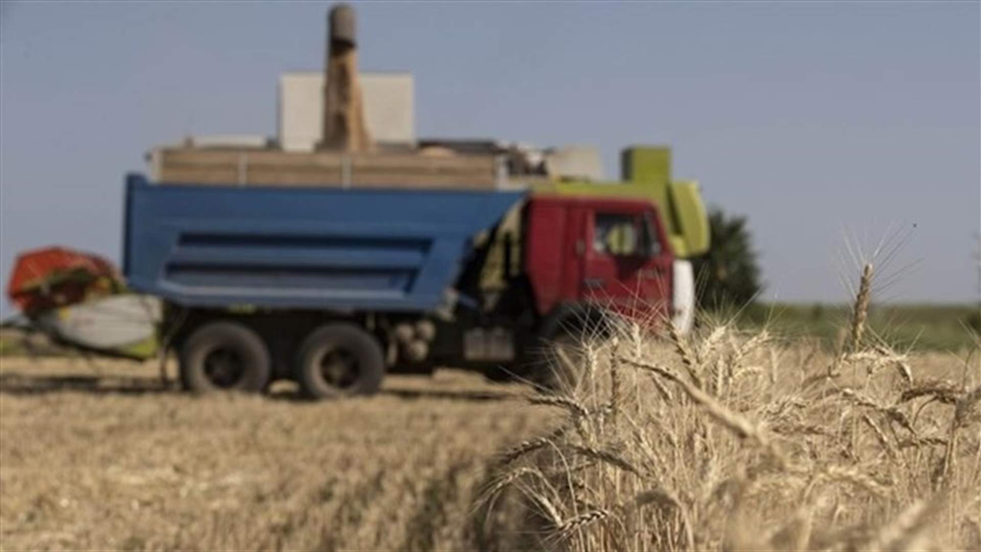 السفارة الاوكرانية في لبنان: الحكومة السورية تناست القانون اللبناني وهدفنا ابقاء الطحين والحبوب بالطرق الشرعية