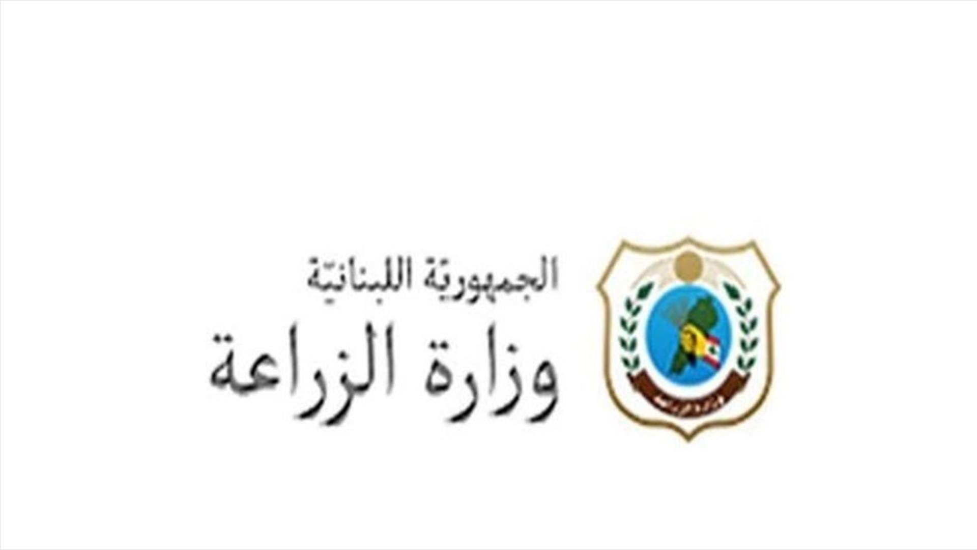 وزارة الزراعة: رئاسة الوزراء وافقت استثنائيا على اشراف وزارة الاقتصاد على شراء القمح اللبناني