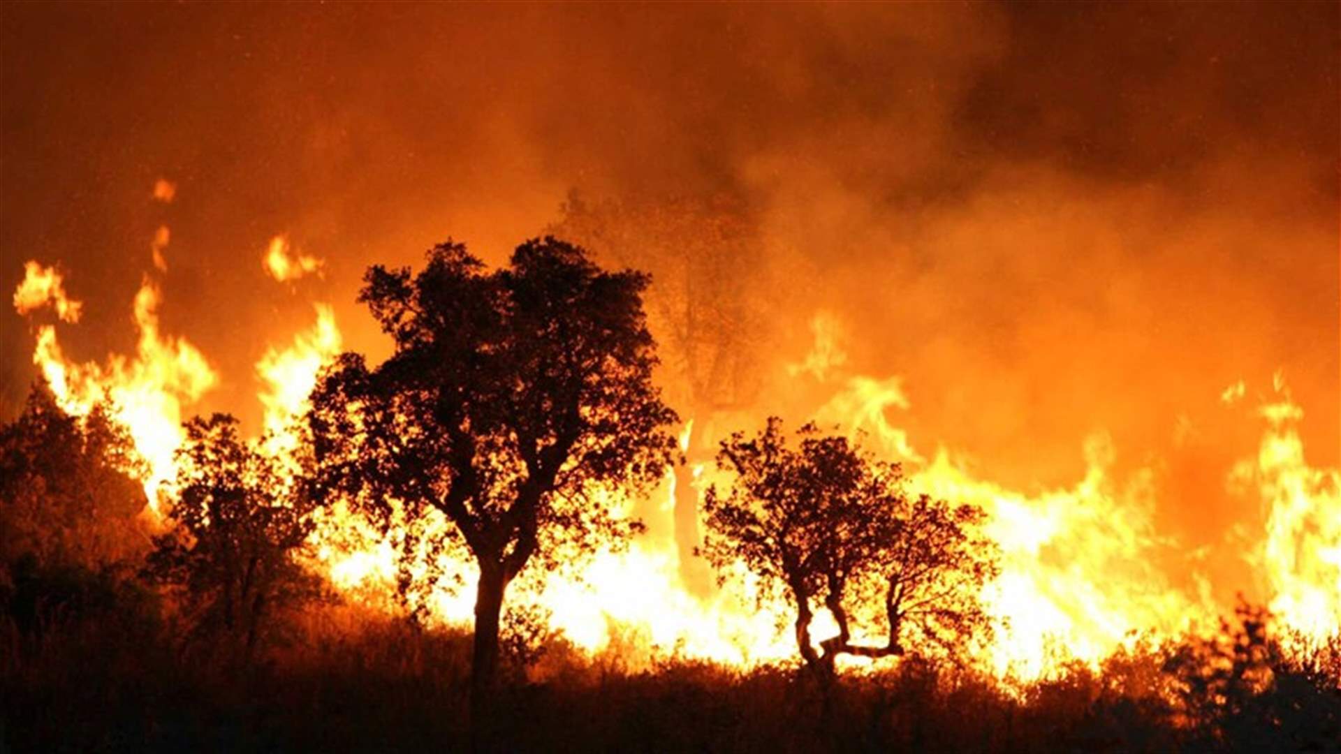 حرائق الغابات في إسبانيا... ما جديدها؟