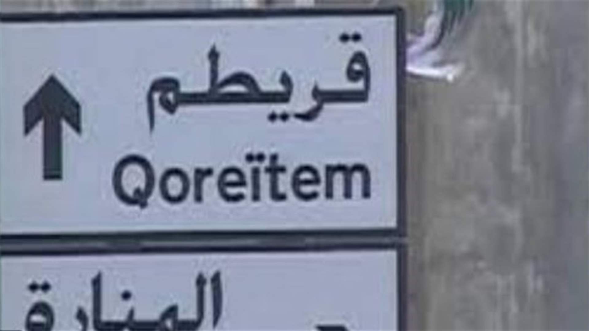 قصر قريطم للبيع؟ (الاخبار)
