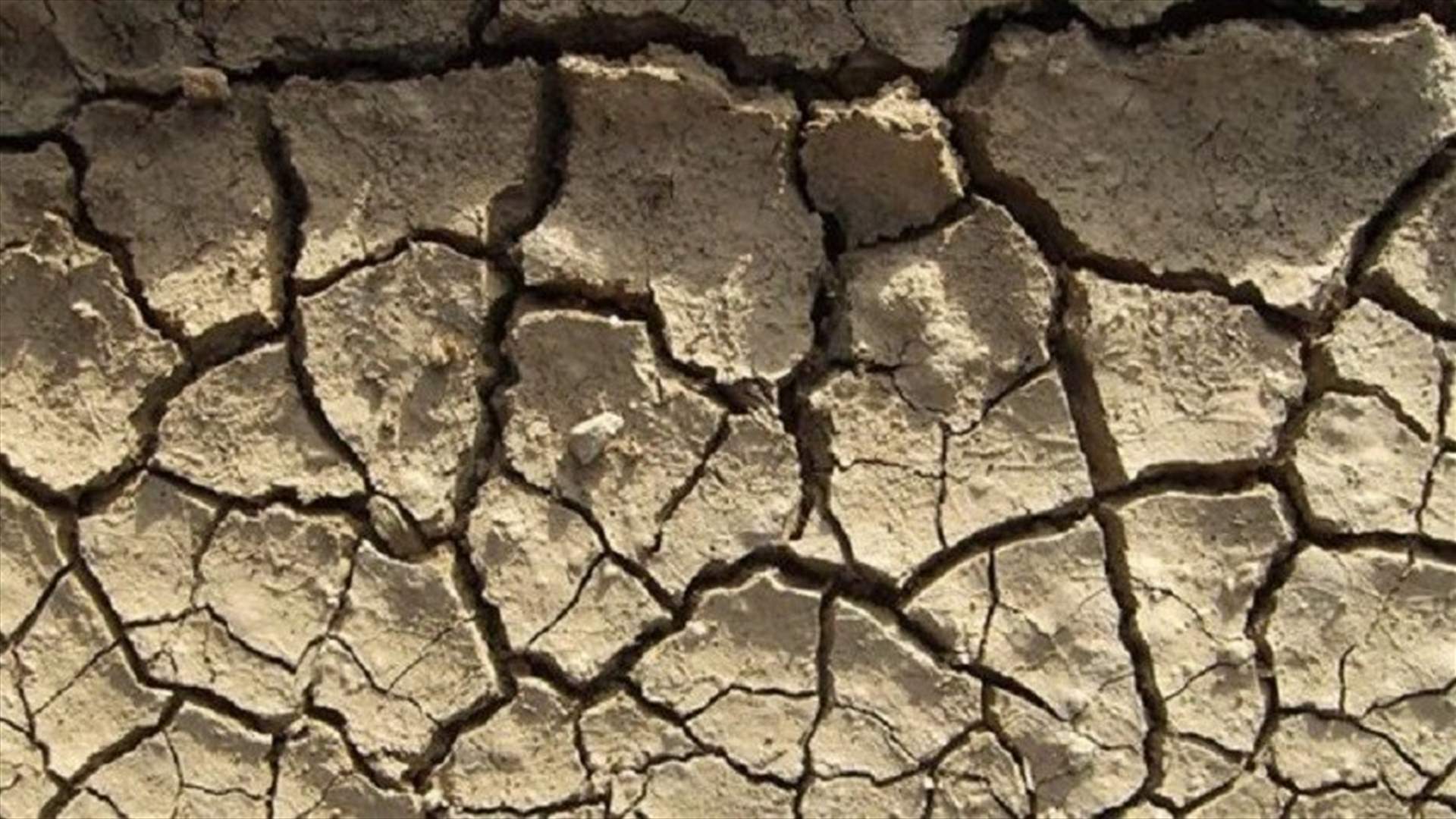 اعلان جزء كبير من انكلترا في حالة جفاف