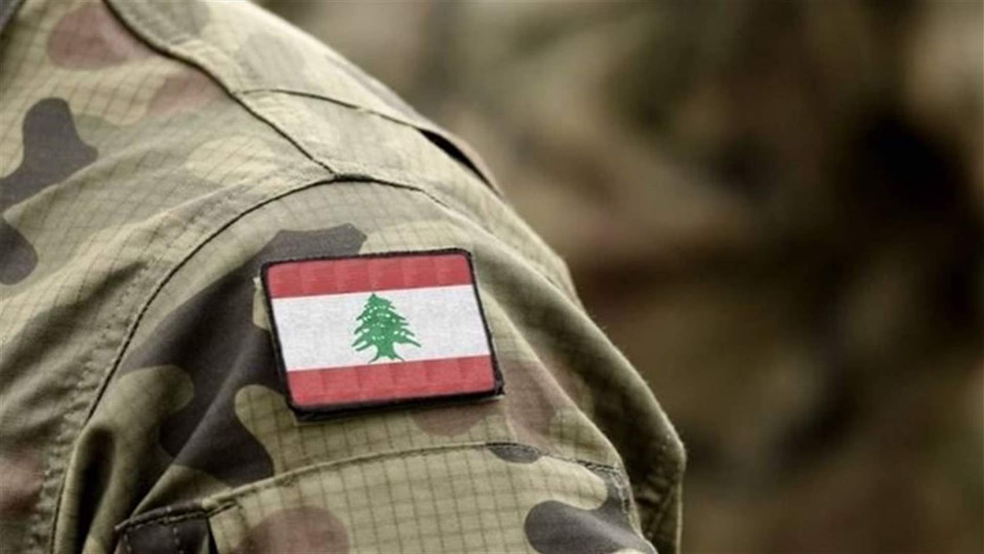 مصادر ميدانية لـ "الشرق الأوسط": أوامر بتفعيل العمليات الأمنية على الحدود الشمالية