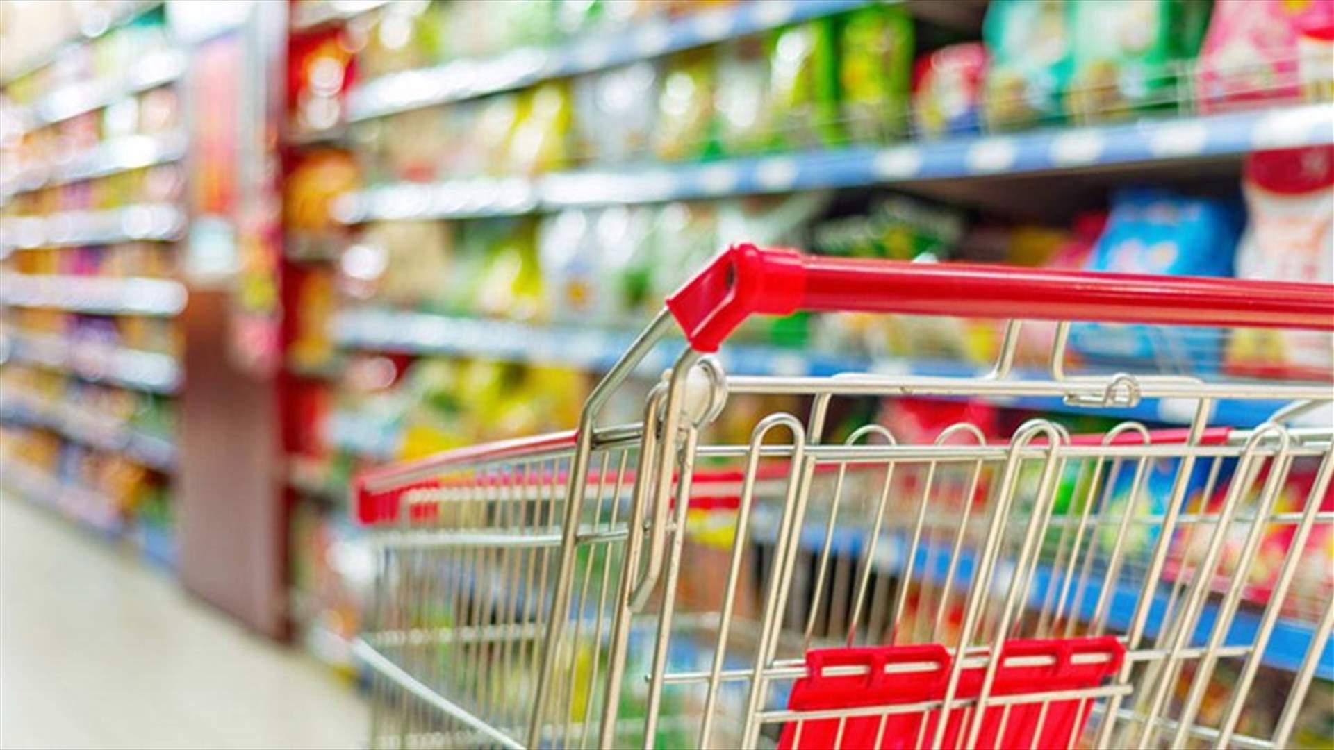 نقابة مستوردي المواد الغذائية تحذر من إزدياد تهريب الغذاء إلى لبنان