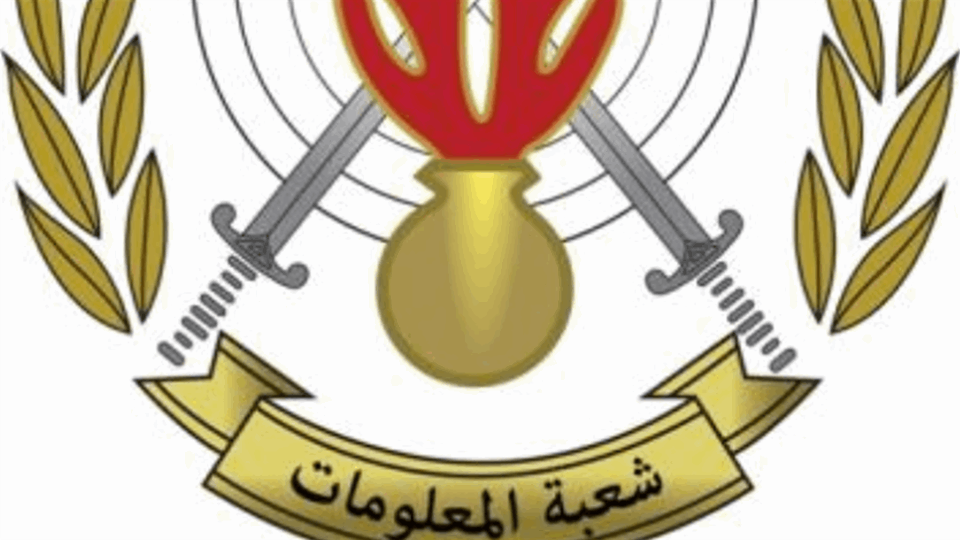توقيف شبكة للسرقة في كفرجرة - جزين