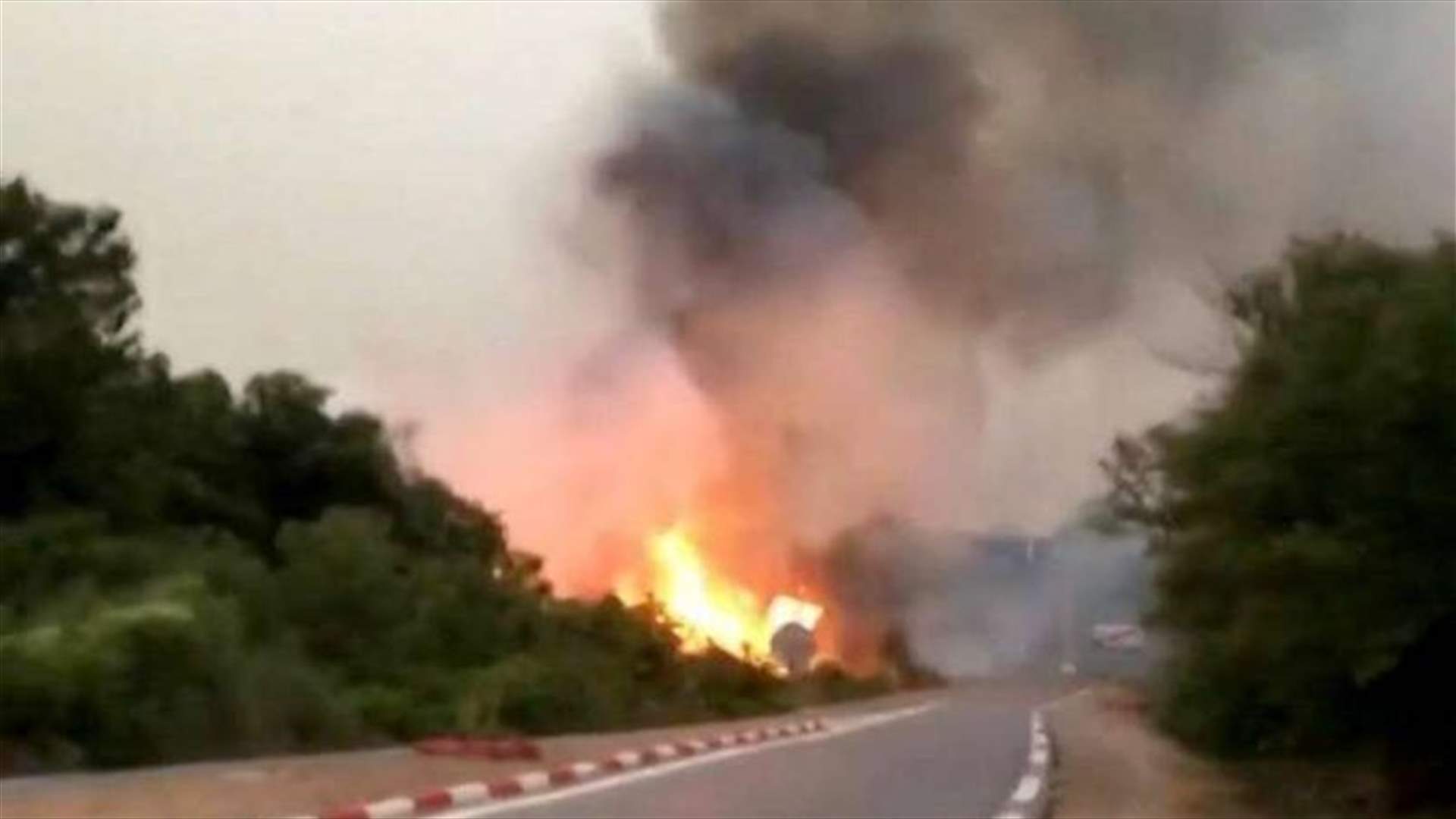 الدفاع المدني يعلن "السيطرة الكاملة" على الحرائق في الجزائر