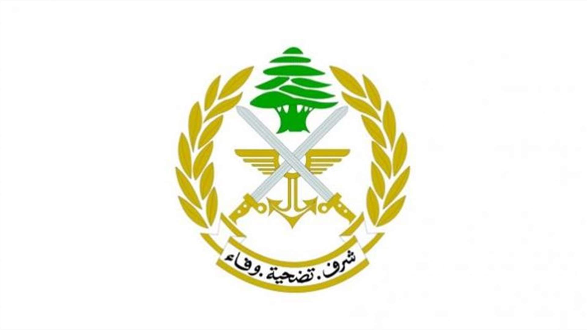الجيش أوقف سوريًا لقيامه بعمليات سرقة وتخريب في منشآت عامة في سحمر