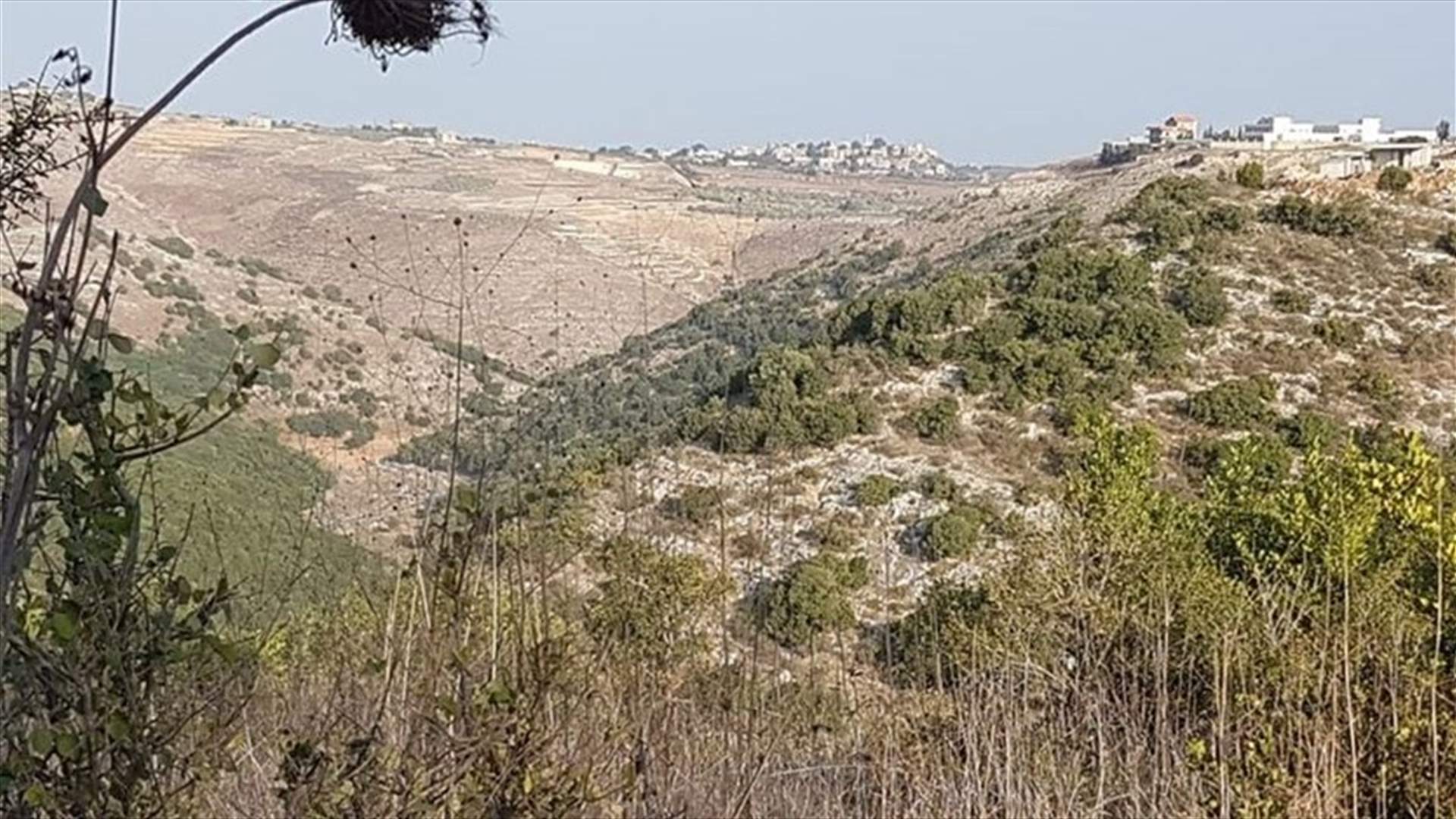 قوات الجيش الإسرائيلي أطلقت النار فوق رؤوس شبان كانوا على مقربة من موقع العباد