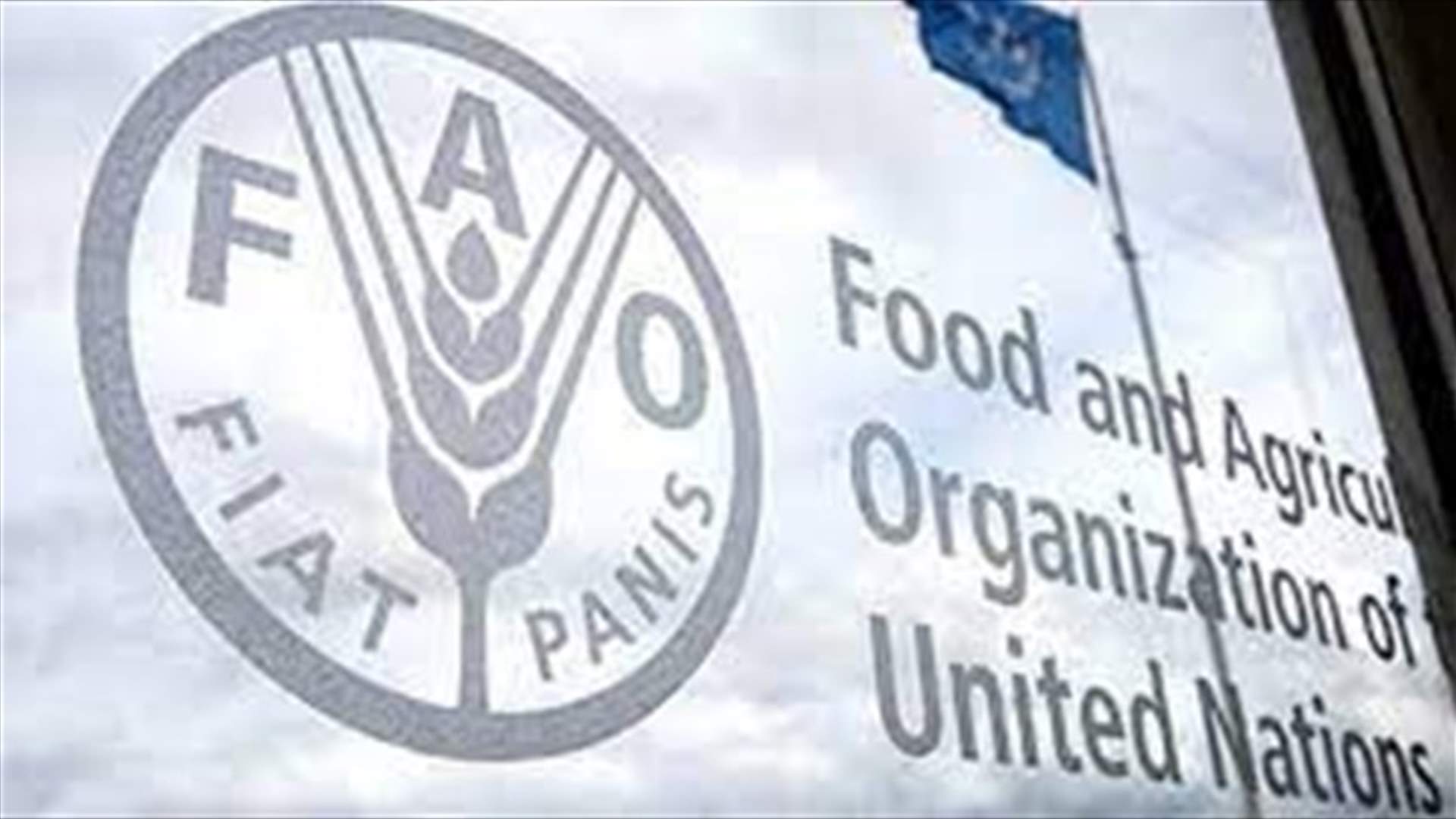 World food price index falls for fifth month in August