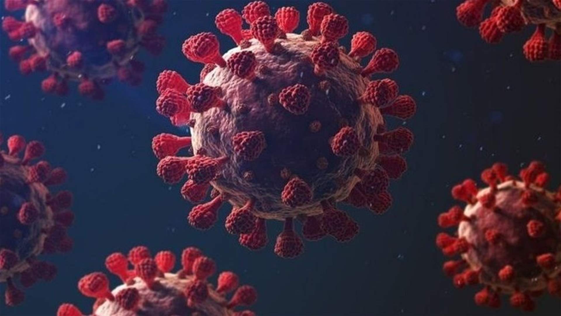 Health Ministry: 351 new Coronavirus cases, one new death