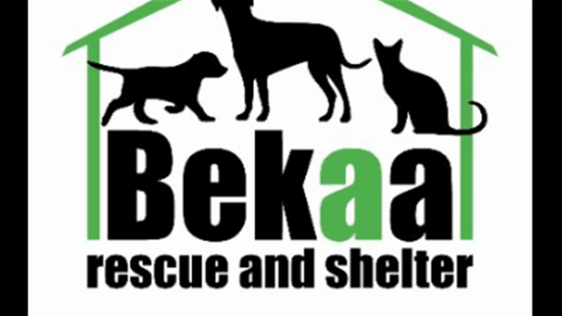 &quot;Bekaa Rescue and Shelter&quot; ترفع الصوت: لإنهاء معاناة الكلاب في لبنان