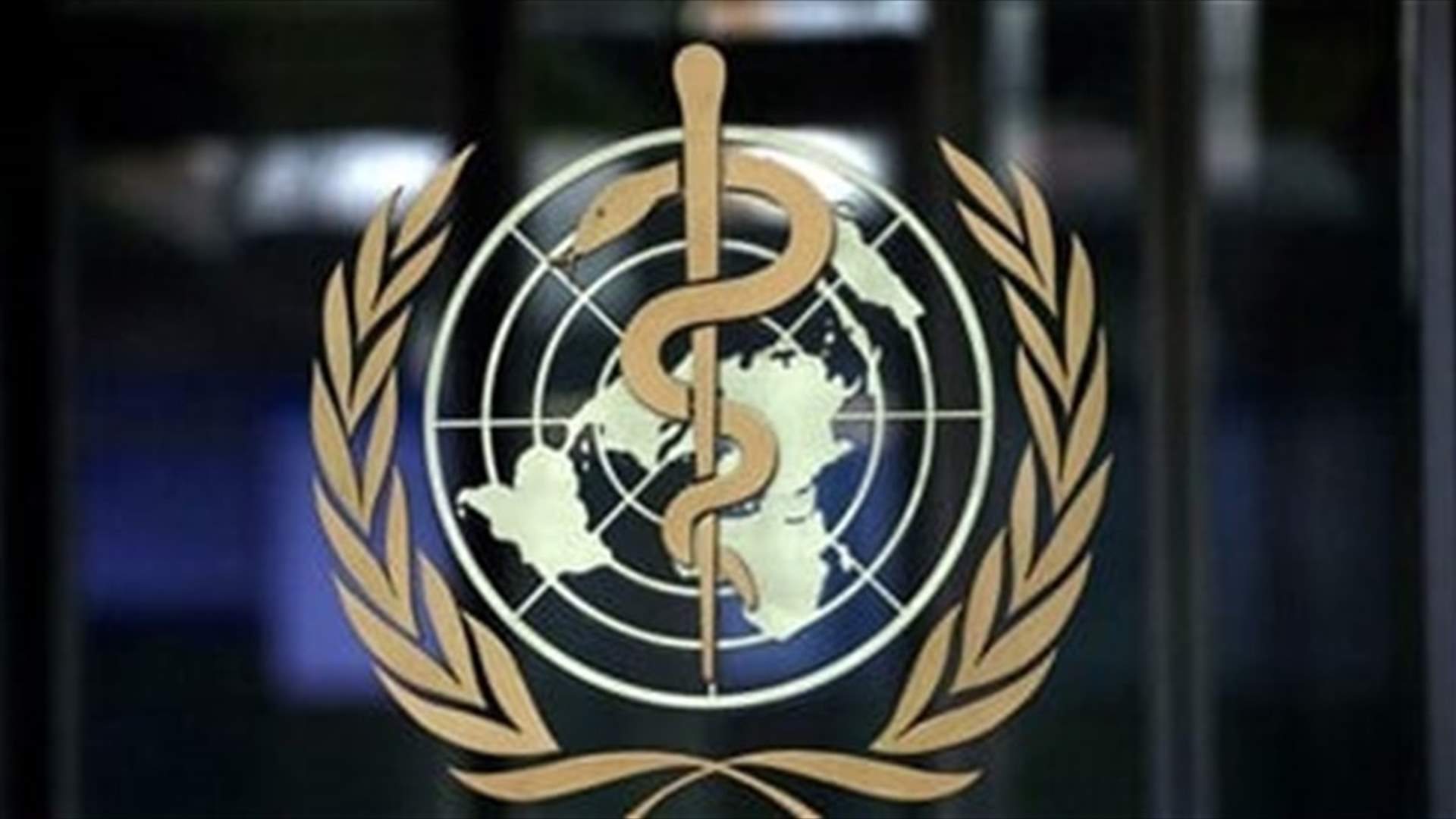 WHO says risk of cholera spread in Syria is “very high”