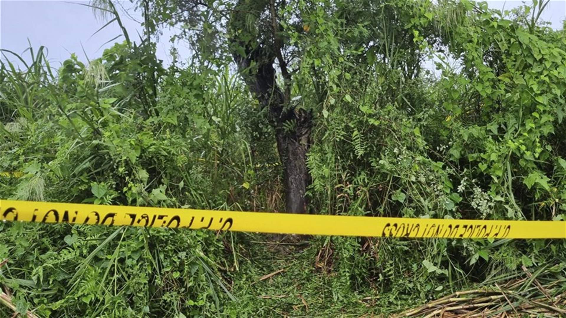 عُثر على جثتيهما معلقتين على شجرة... اعتقال 6 رجال في الهند بتهمة اغتصاب وقتل شقيقتين