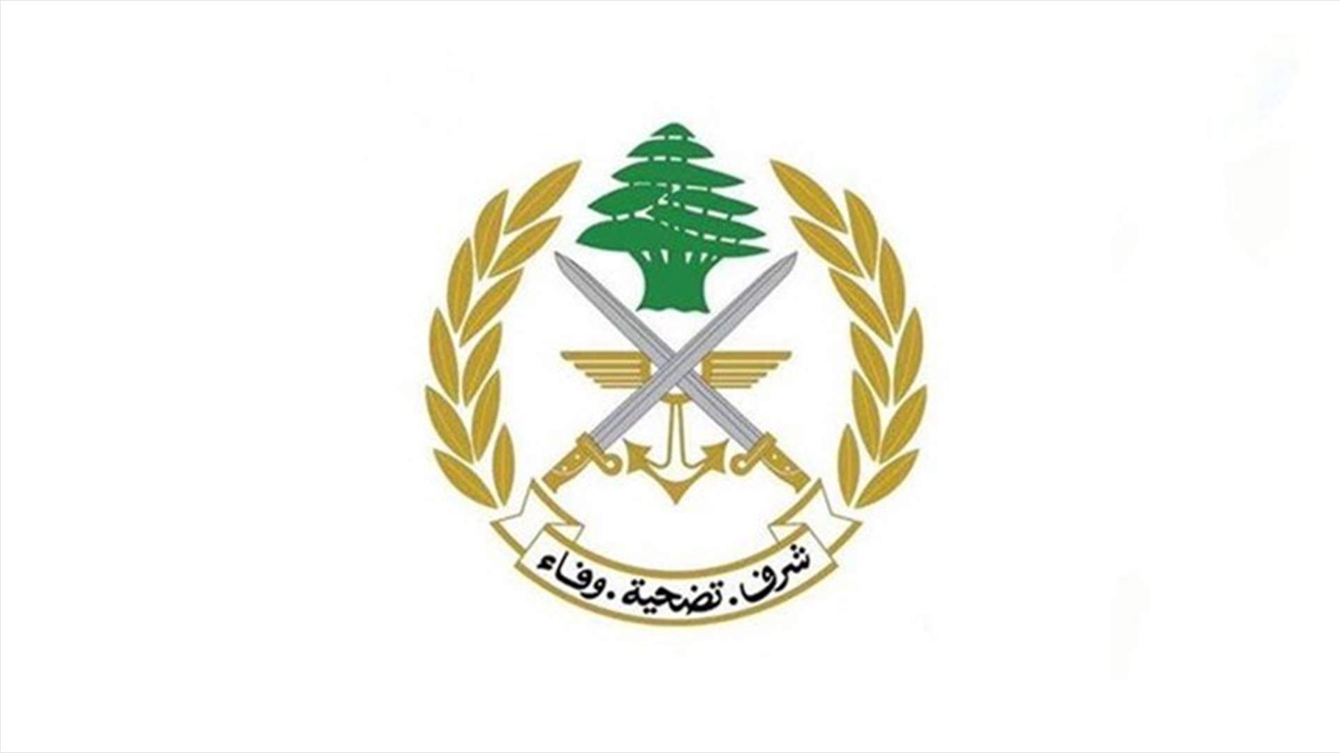 الجيش: تنفيذ طيران ليلي بين القواعد الجوية