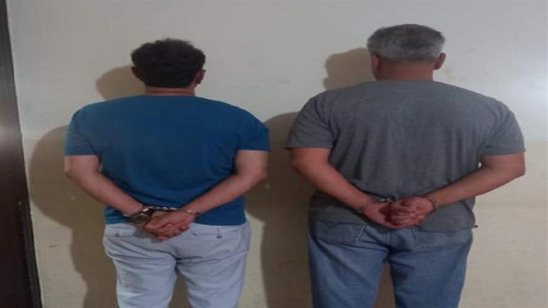 بالجرم المشهود... شعبة المعلومات تلقي القبض على متورطَيْن بعمليات تنقيب عن آثار داخل قلعة الحصن في نيحا