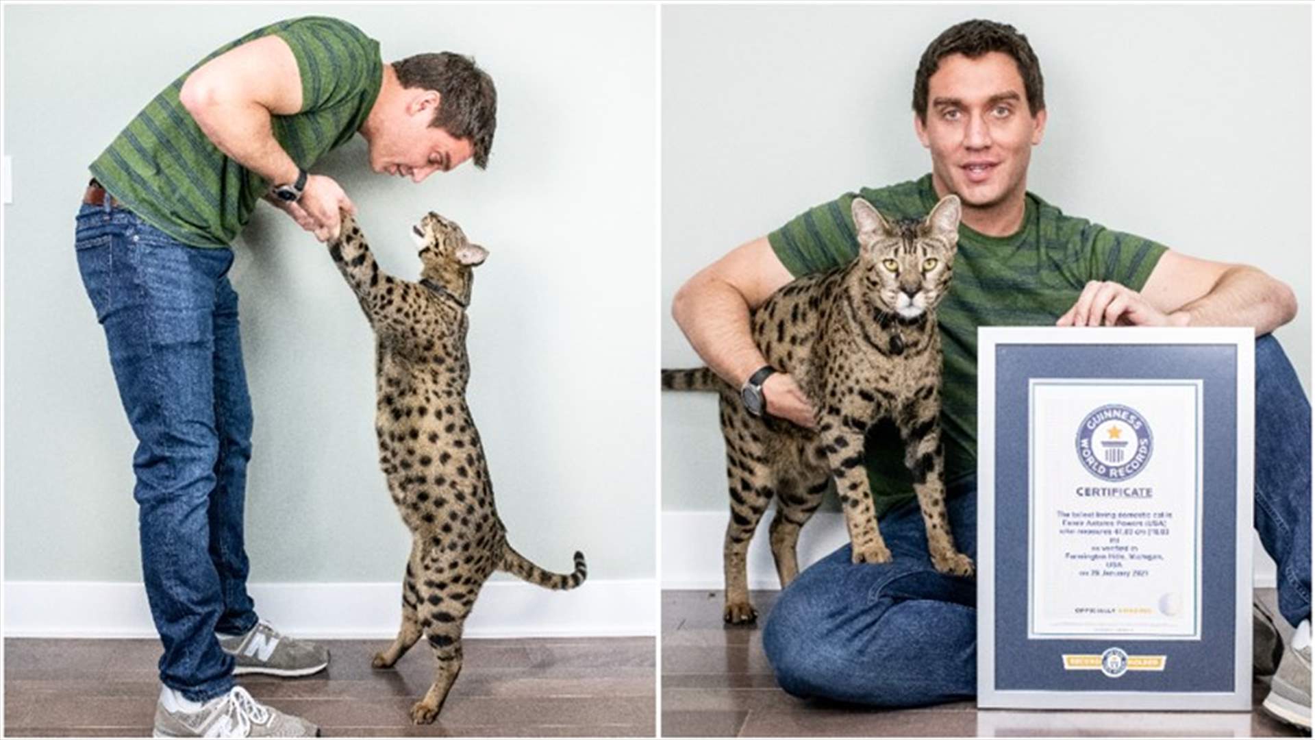 موسوعة غينيس تكشف عن أطول قطةٍ أليفةٍ في العالم... كم يبلغ طولها؟ (فيديو)