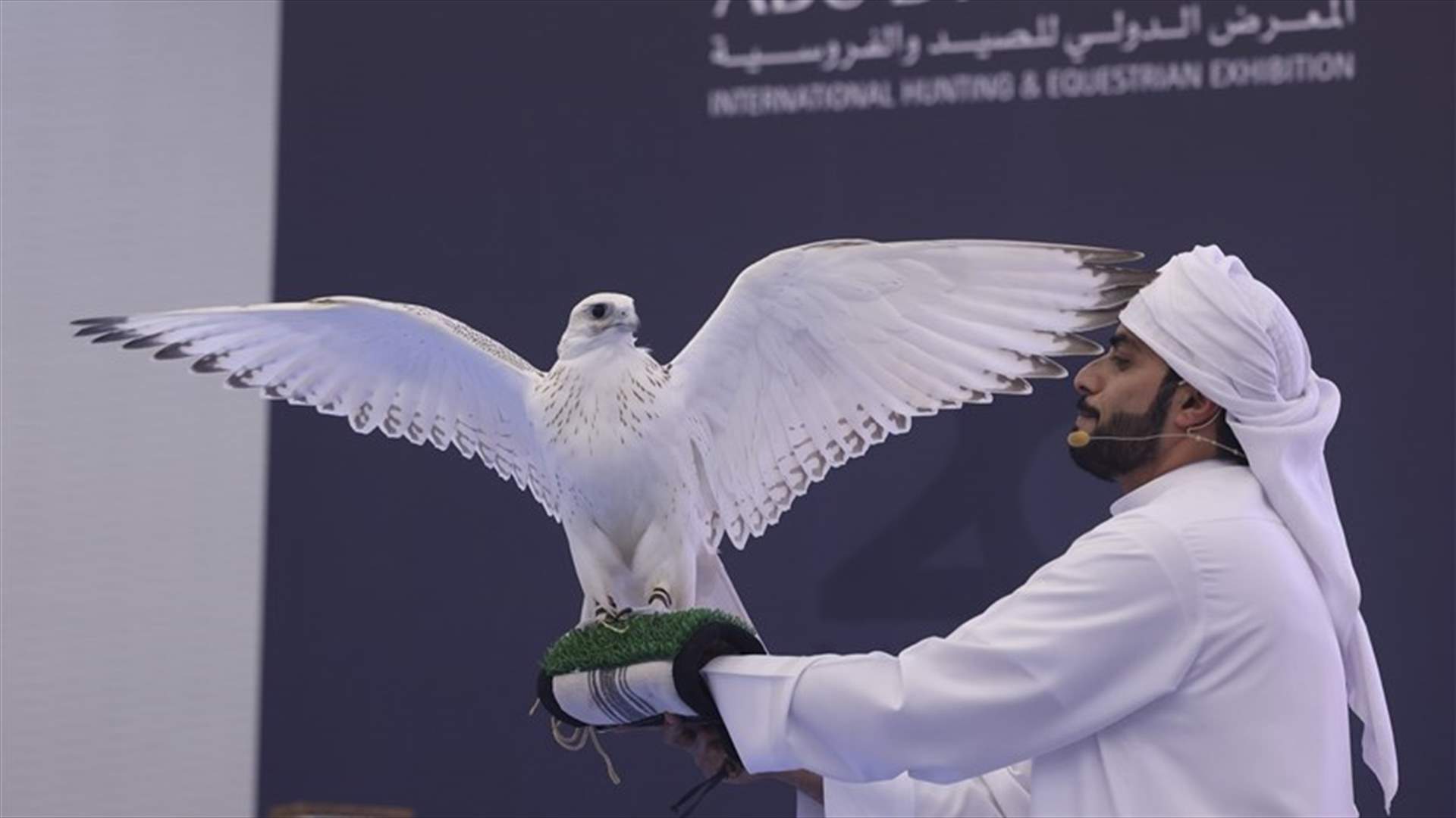 بيع أغلى صقر في تاريخ معرض أبوظبي الدولي للصيد والفروسية