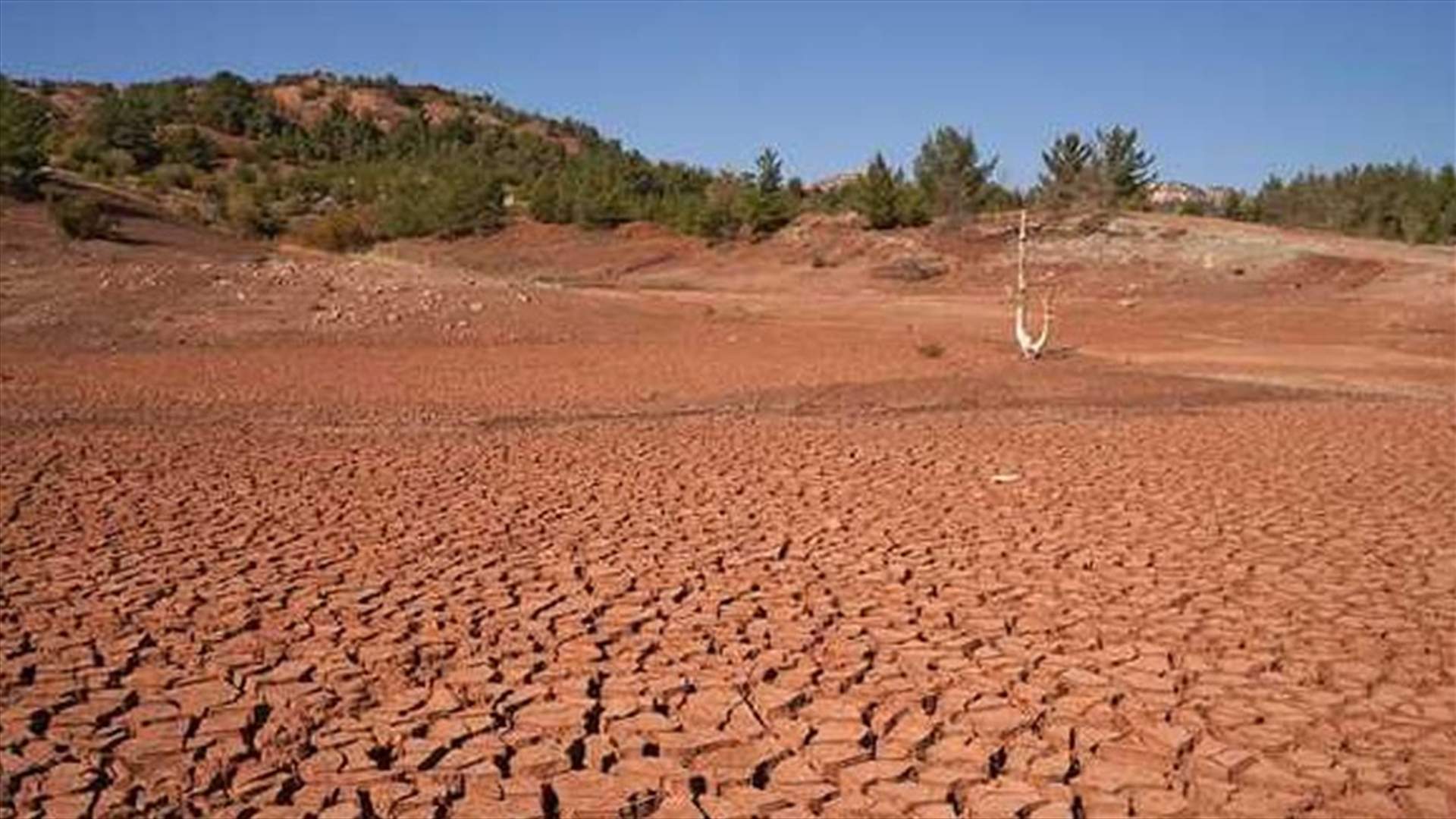 نزوح 1200 عائلة في جنوب العراق بسبب الجفاف