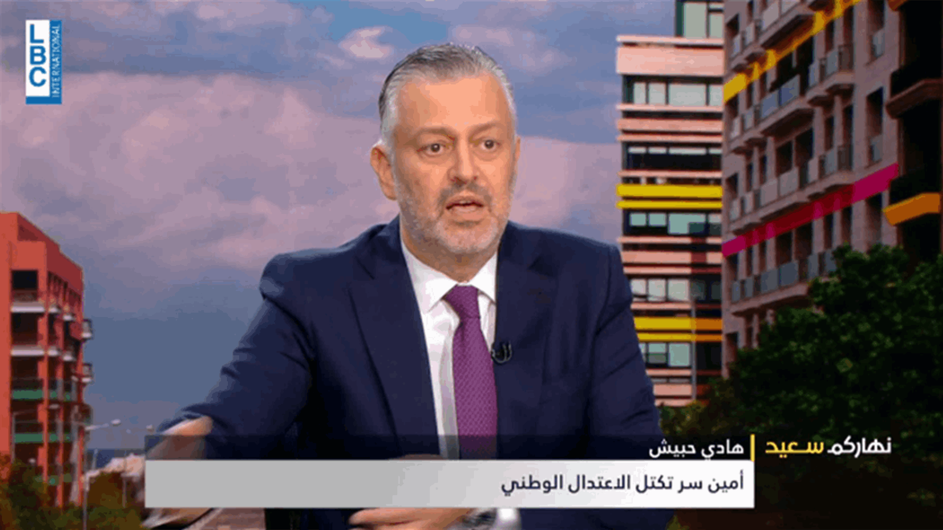 حبيش: هناك عدة أسماء مطروحة للرئاسة ومعوض ليس مرشح تحدٍ