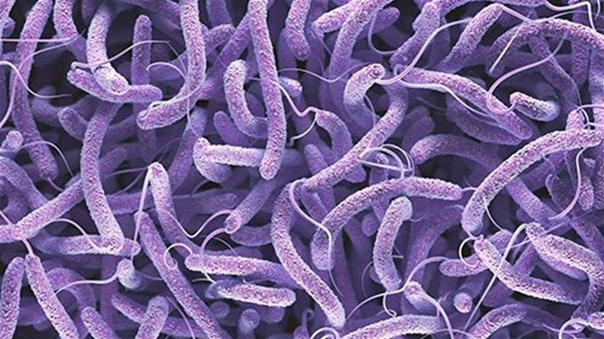 Health Ministry: 8 new Cholera cases, 1 new death