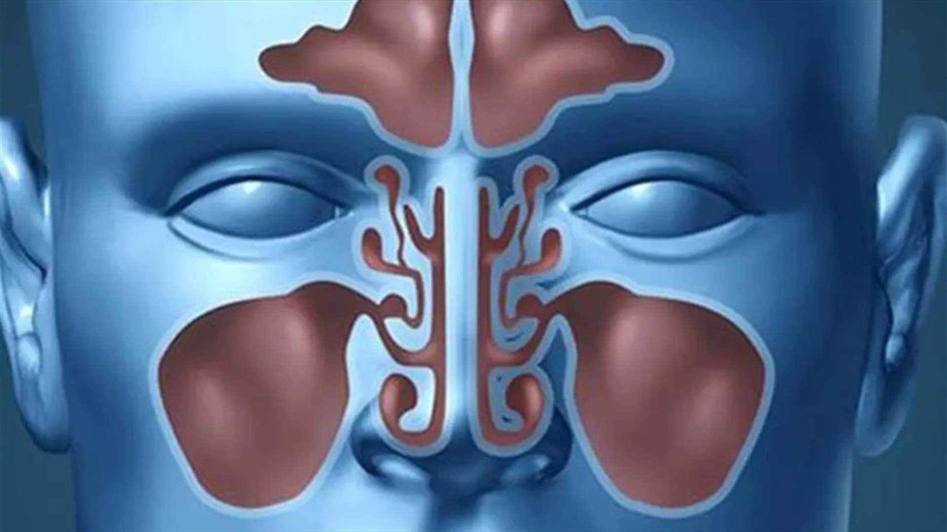 لغز الجيوب الأنفية.. علماء يحاولون فك شفرة التجاويف قرب الدماغ