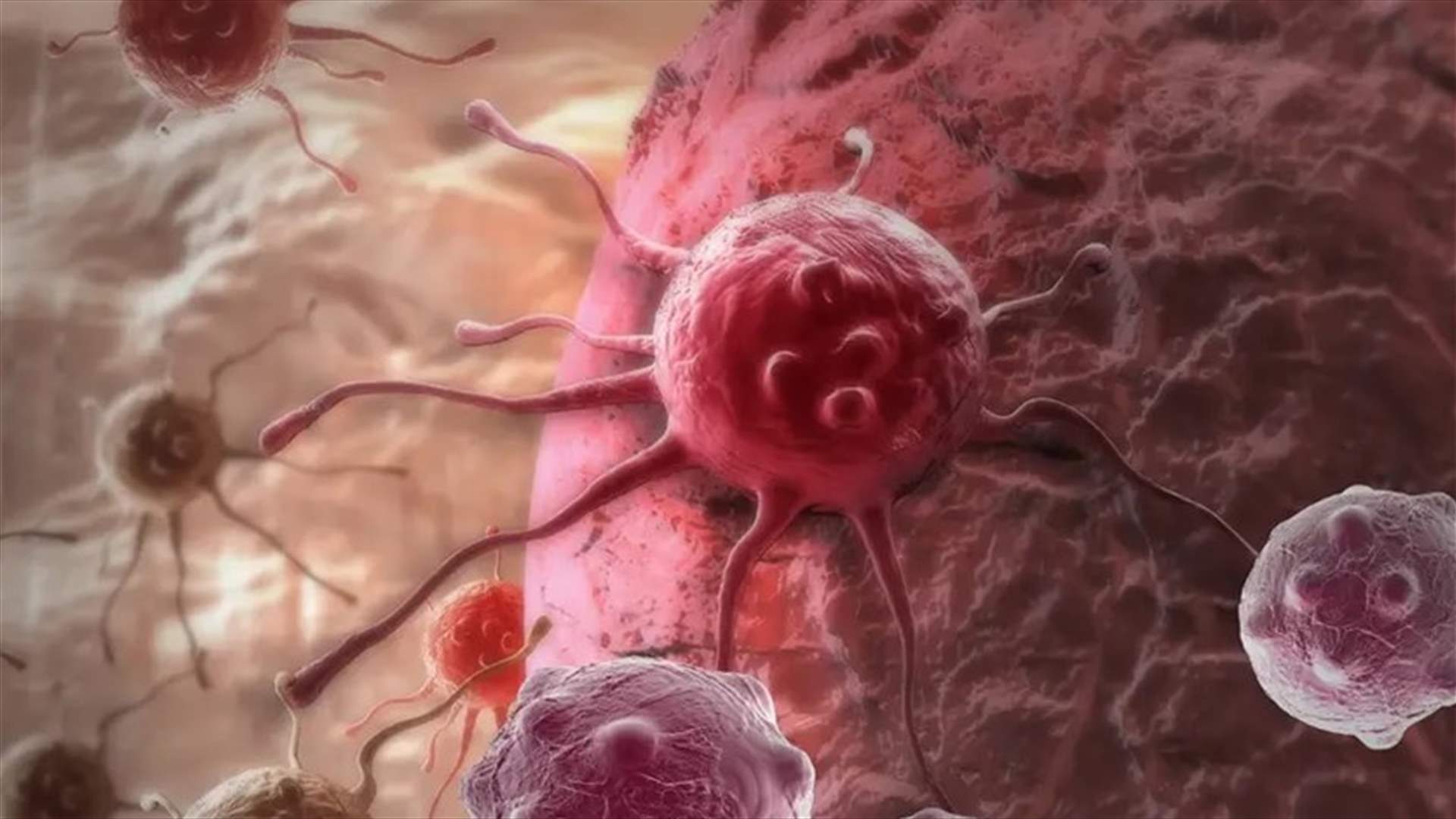 علماء يدرسون الجزيئات الأساسية ...في مسعى لعلاج أنواع السرطان المميتة