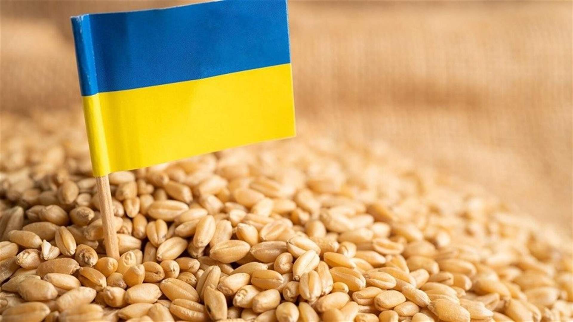 توقف حركة تصدير الحبوب الأوكرانية في البحر الأسود اليوم