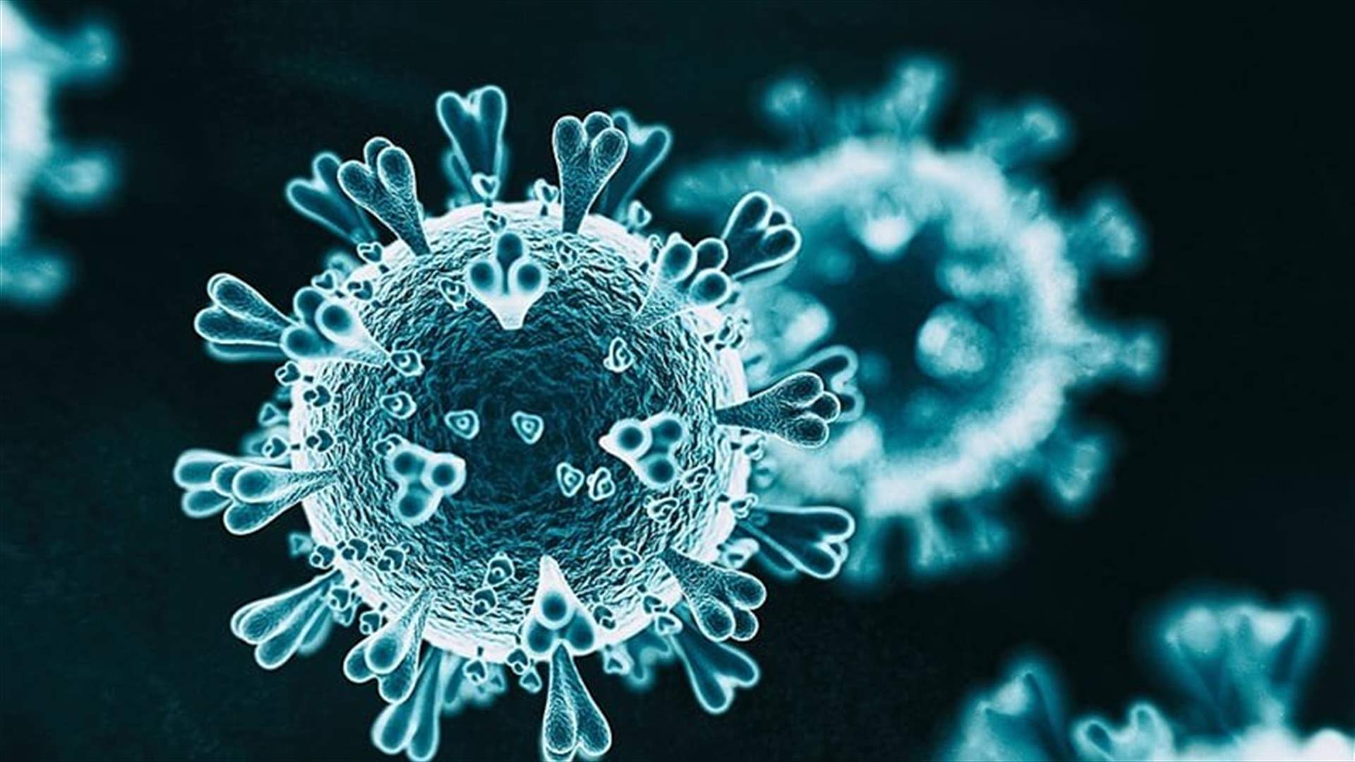 وزارة الصحة: 78 إصابة جديدة بفيروس كورونا وحالة وفاة واحدة