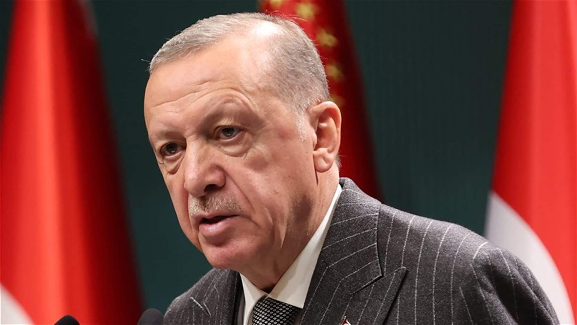 إردوغان: تركيا وروسيا ستقدمان مجانًا حبوبًا إلى إفريقيا