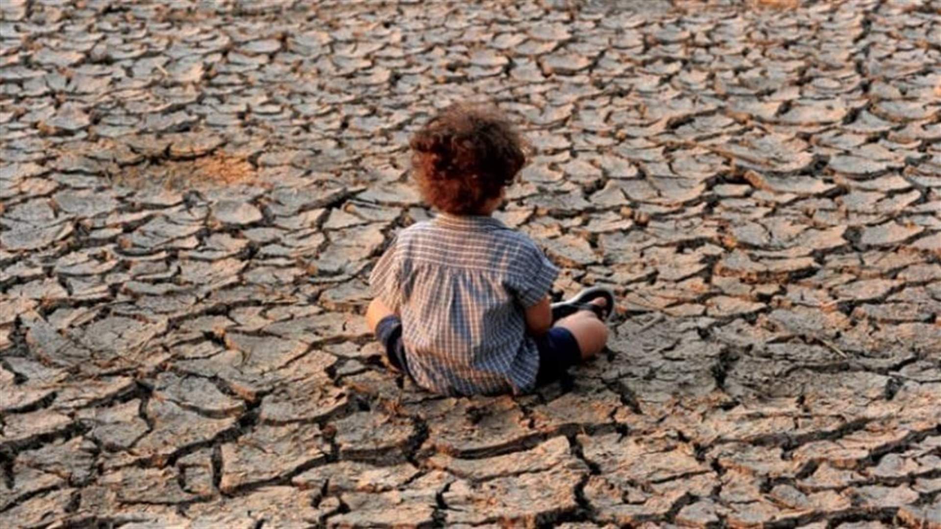 Arab Coordination Group pledges at least $24 billion to tackle climate crisis