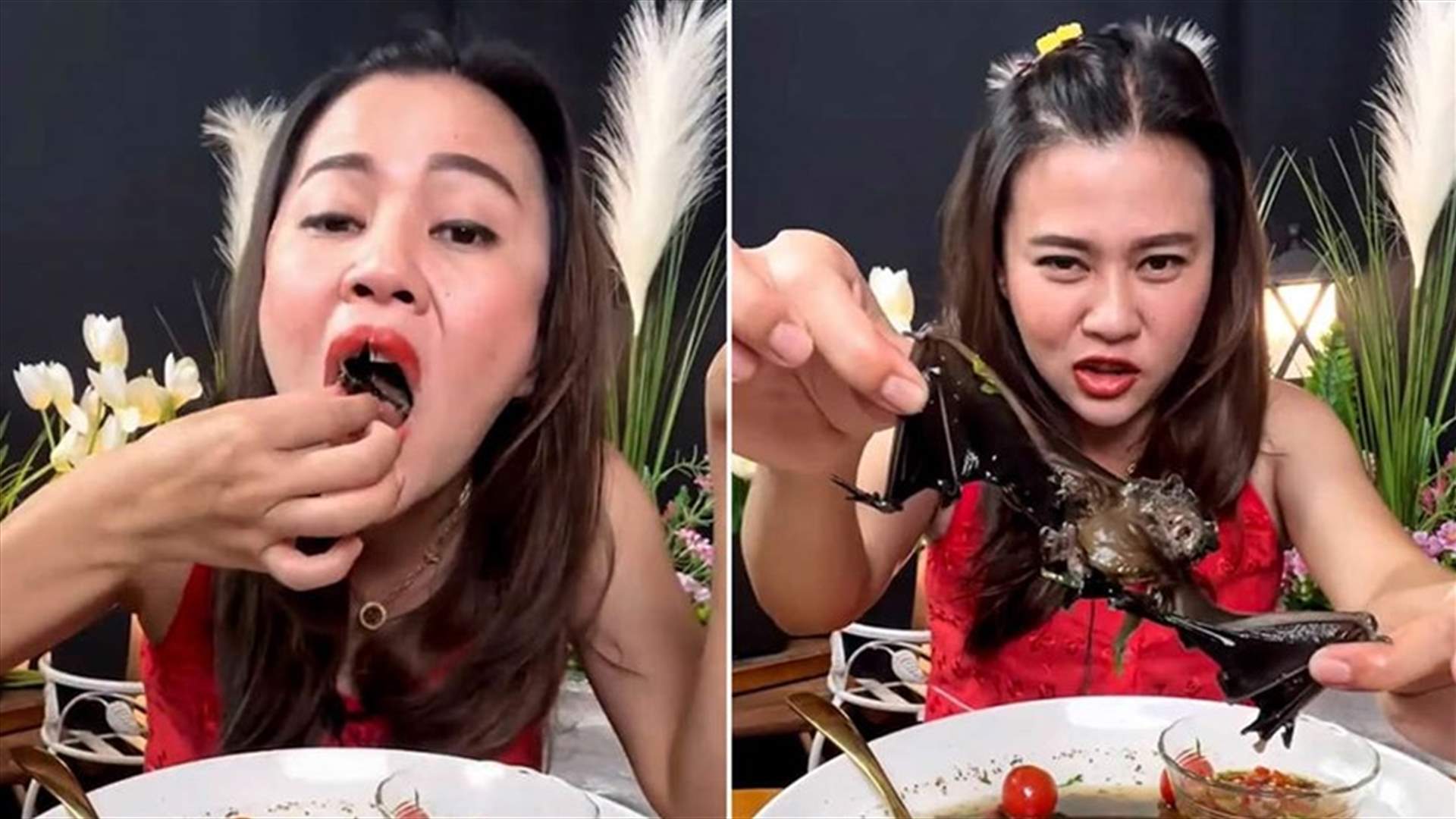 مدونة تايلاندية تثير غضب مشاهدي يوتيوب... أكلت الخفافيش في الحساء! (فيديو)