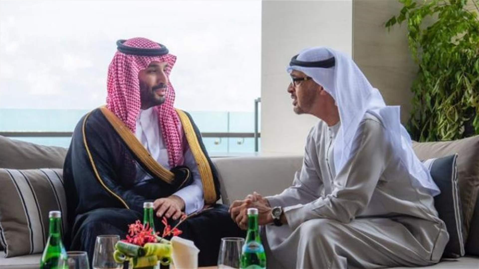 رئيس الإمارات يلتقي ولي العهد السعودي في بالي... ماذا بحثا؟