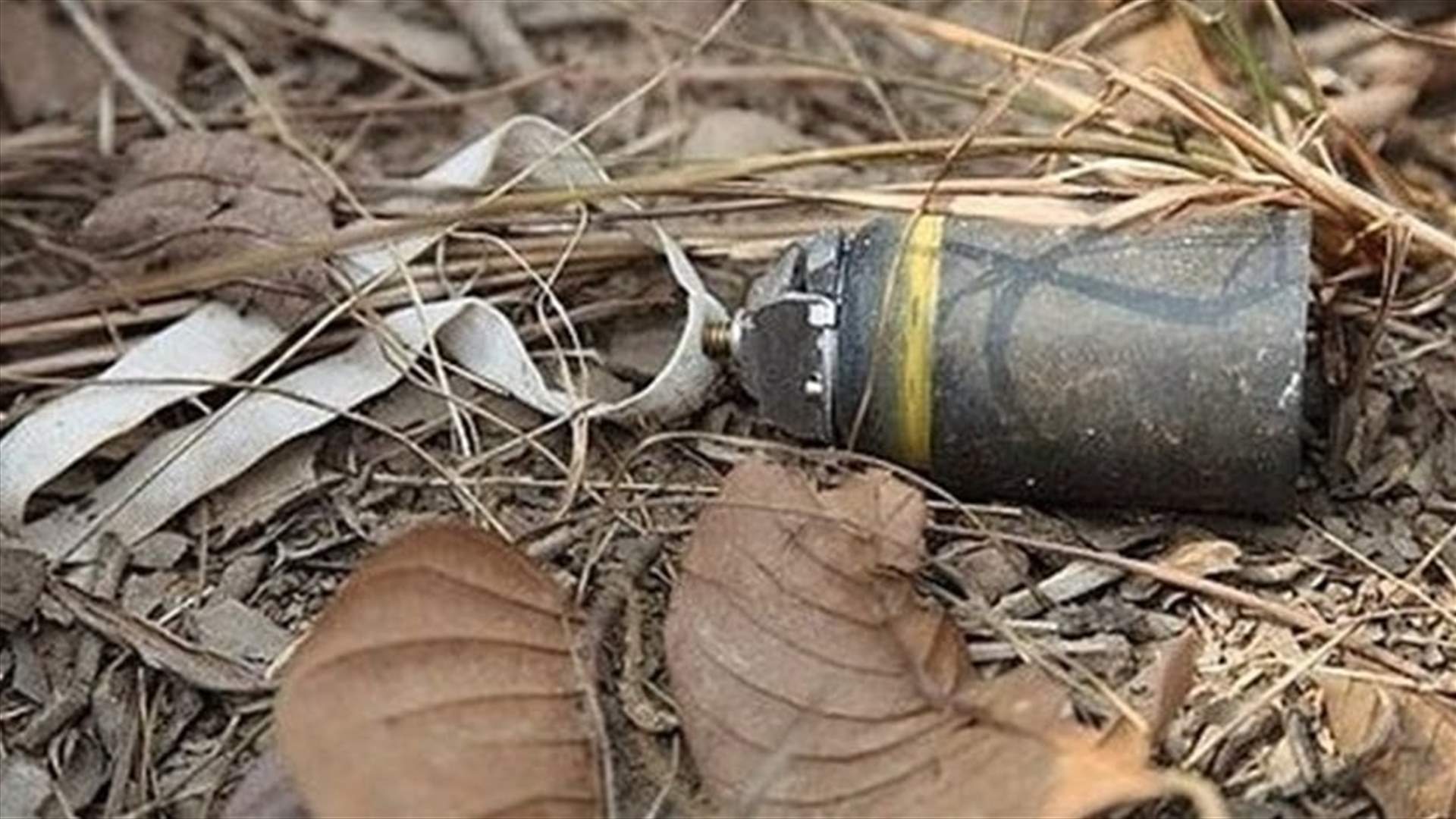 انفجار قنبلة عنقودية من مخلفات الجيش الاسرائيلي بقطيع من الماشية في وادي الحجير