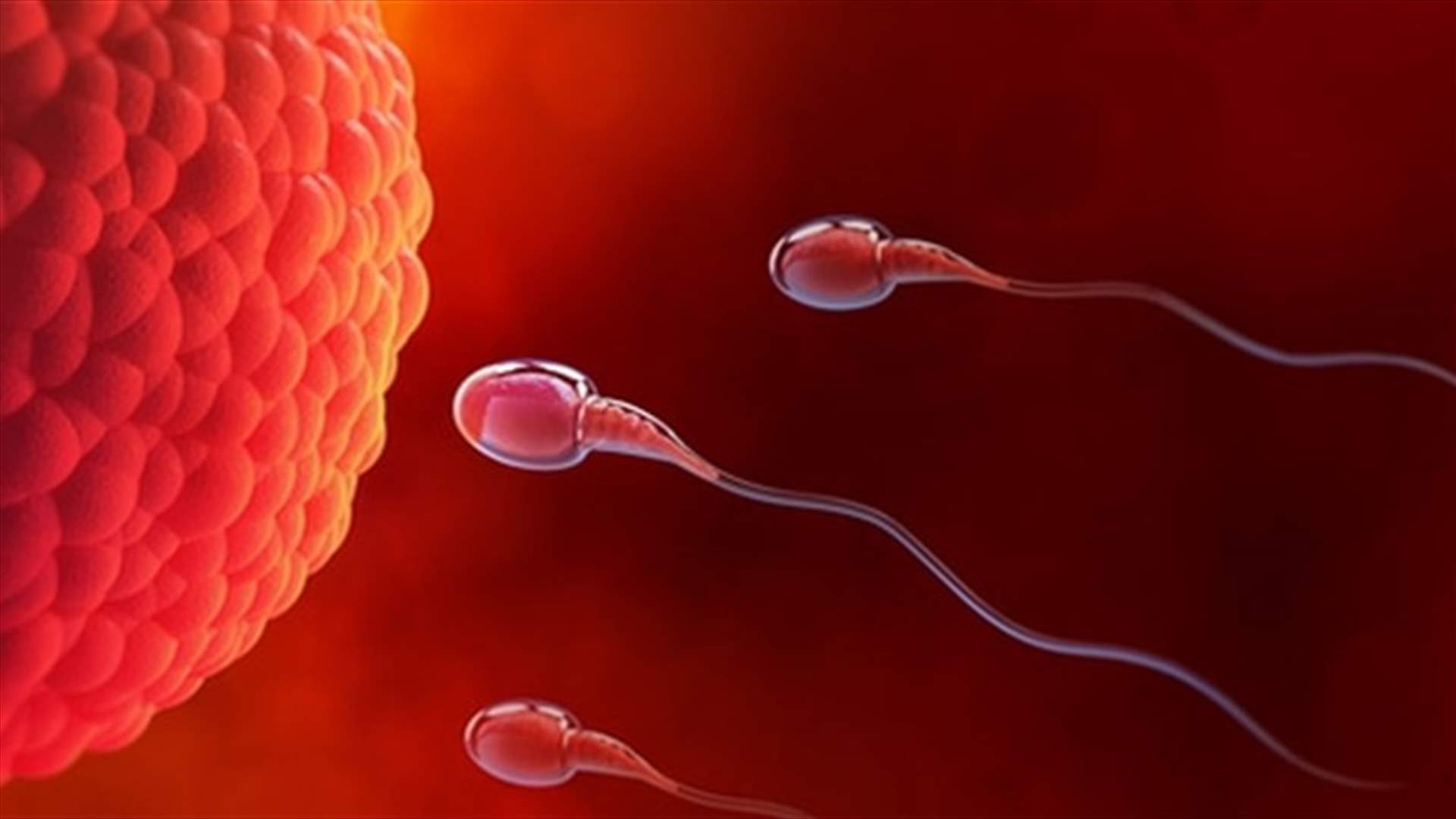 دراسة جديدة تدعم فرضية تراجع تركيز الحيوانات المنوية عالمياً