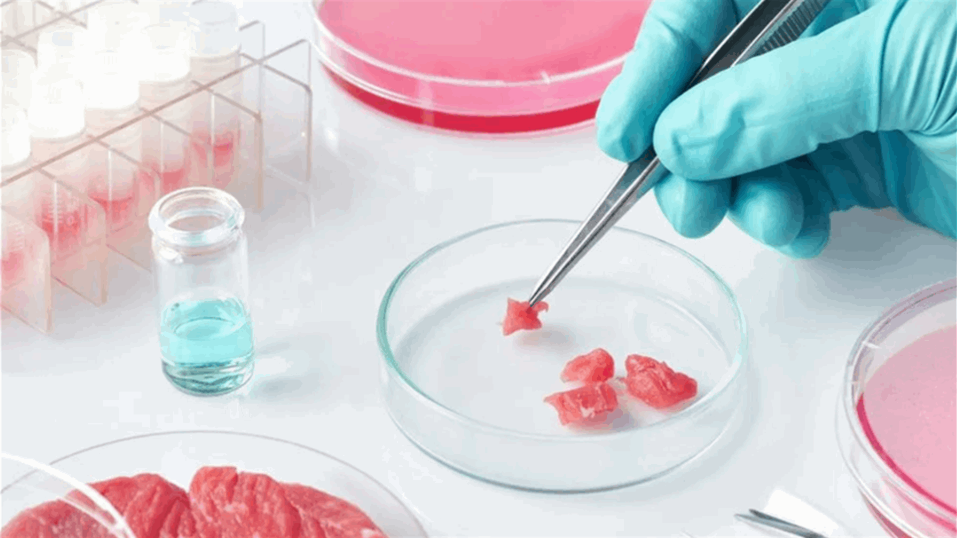 إدارة الغذاء الأميركية توافق على إنتاج اللحوم المُصنعة في المختبرات