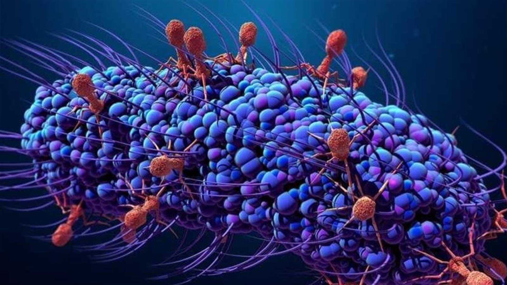 Health Ministry: Two new Cholera cases, no new deaths