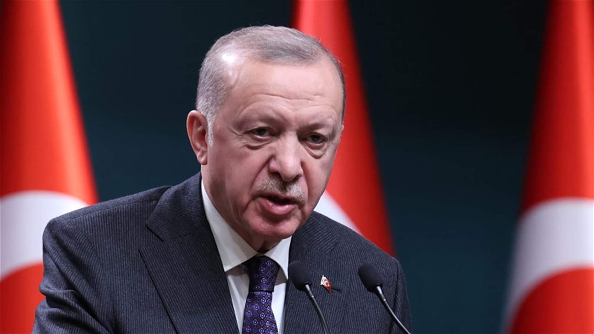 إردوغان: تركيا مصممة اليوم أكثر من أي وقت مضى على حماية حدودها مع سوريا
