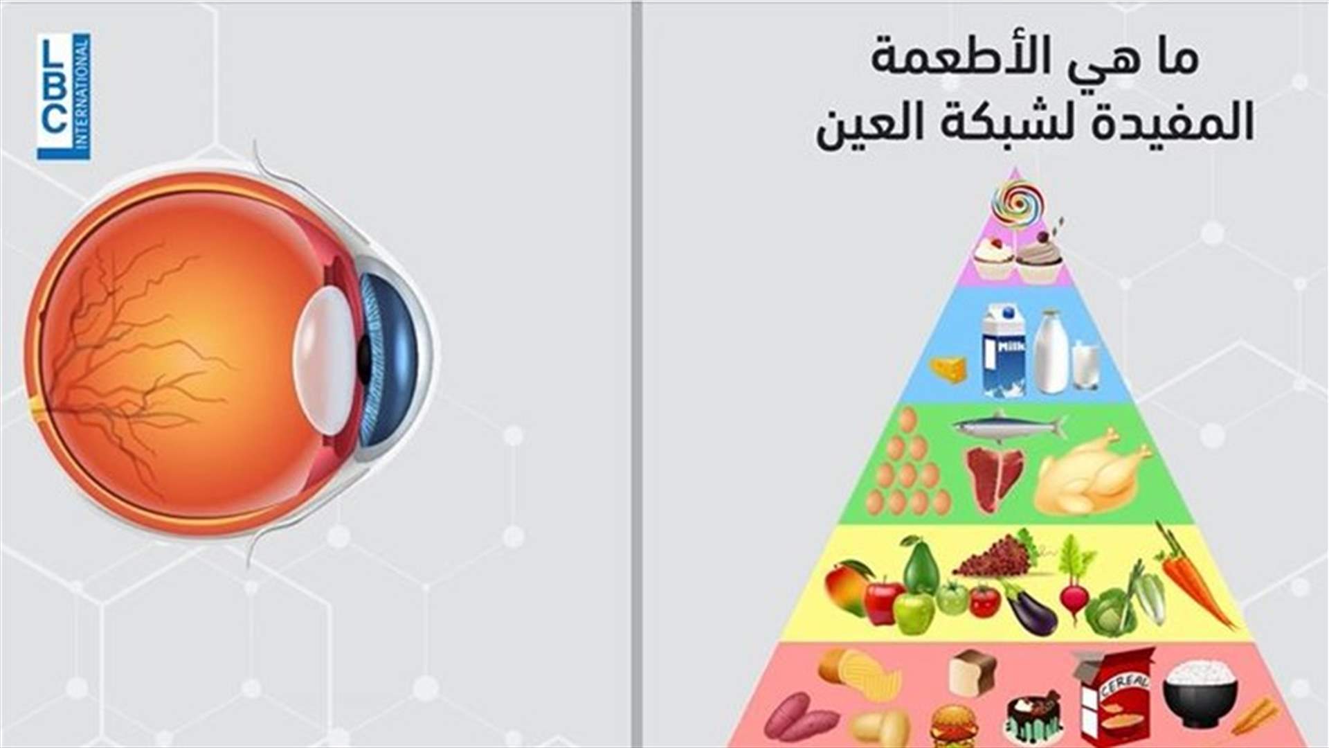 ما هي الأطعمة المفيدة لشبكية العين؟