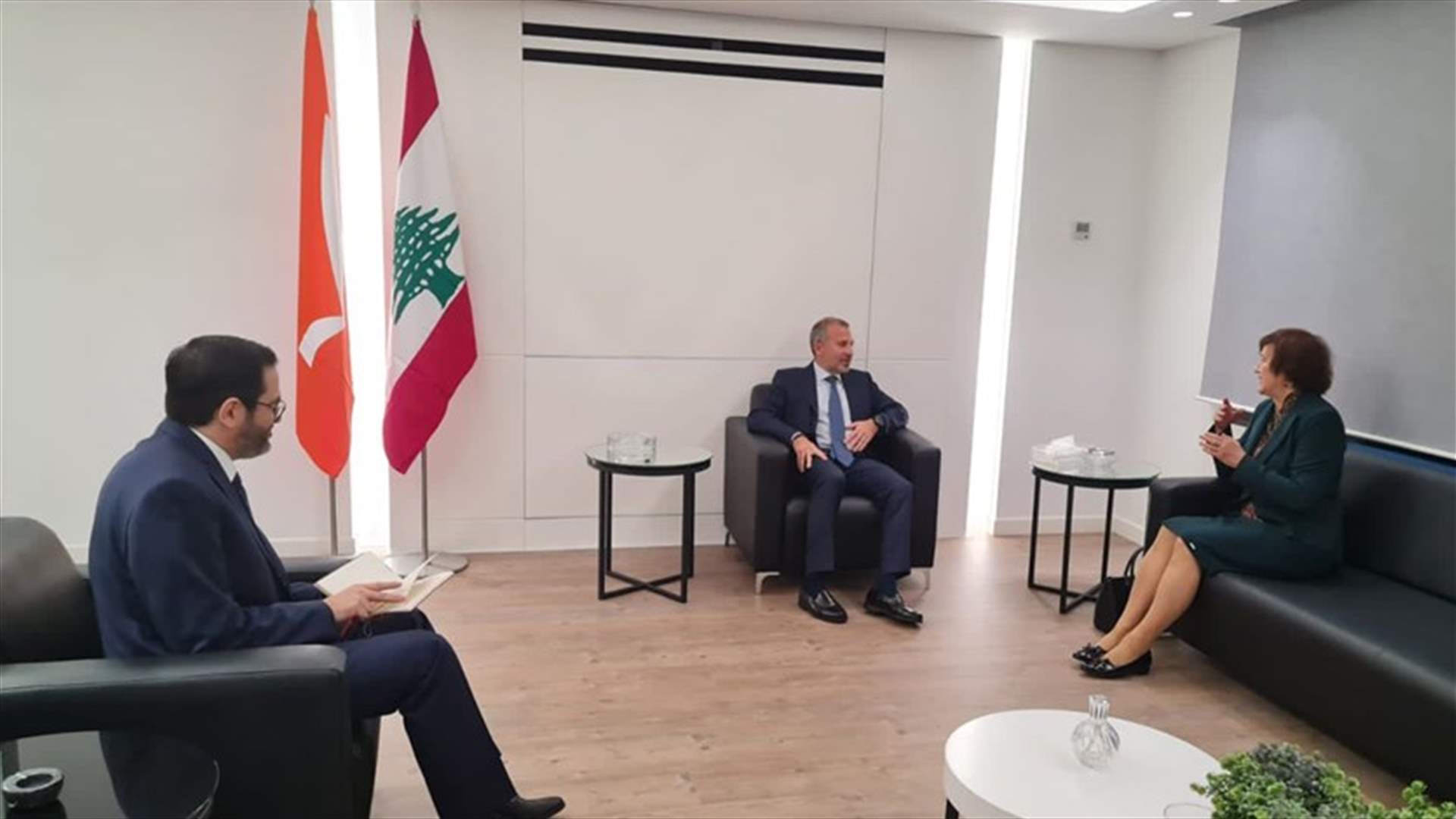 المنسقة العامة للأمم المتحدة في لبنان والسفير المجري في زيارة لباسيل