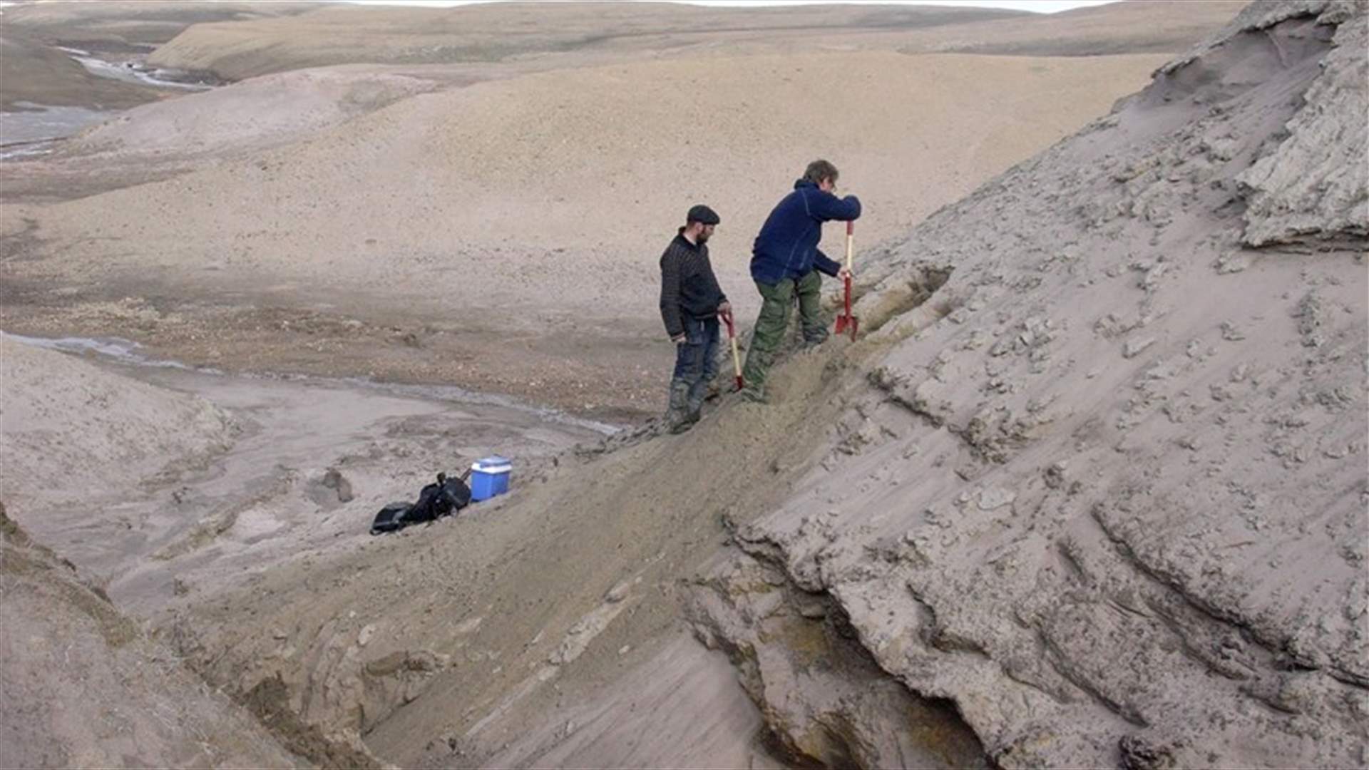 اكتشاف أقدم حمض نووي يعود لمليوني عام... عودة إلى عالم غرينلاند الضائع