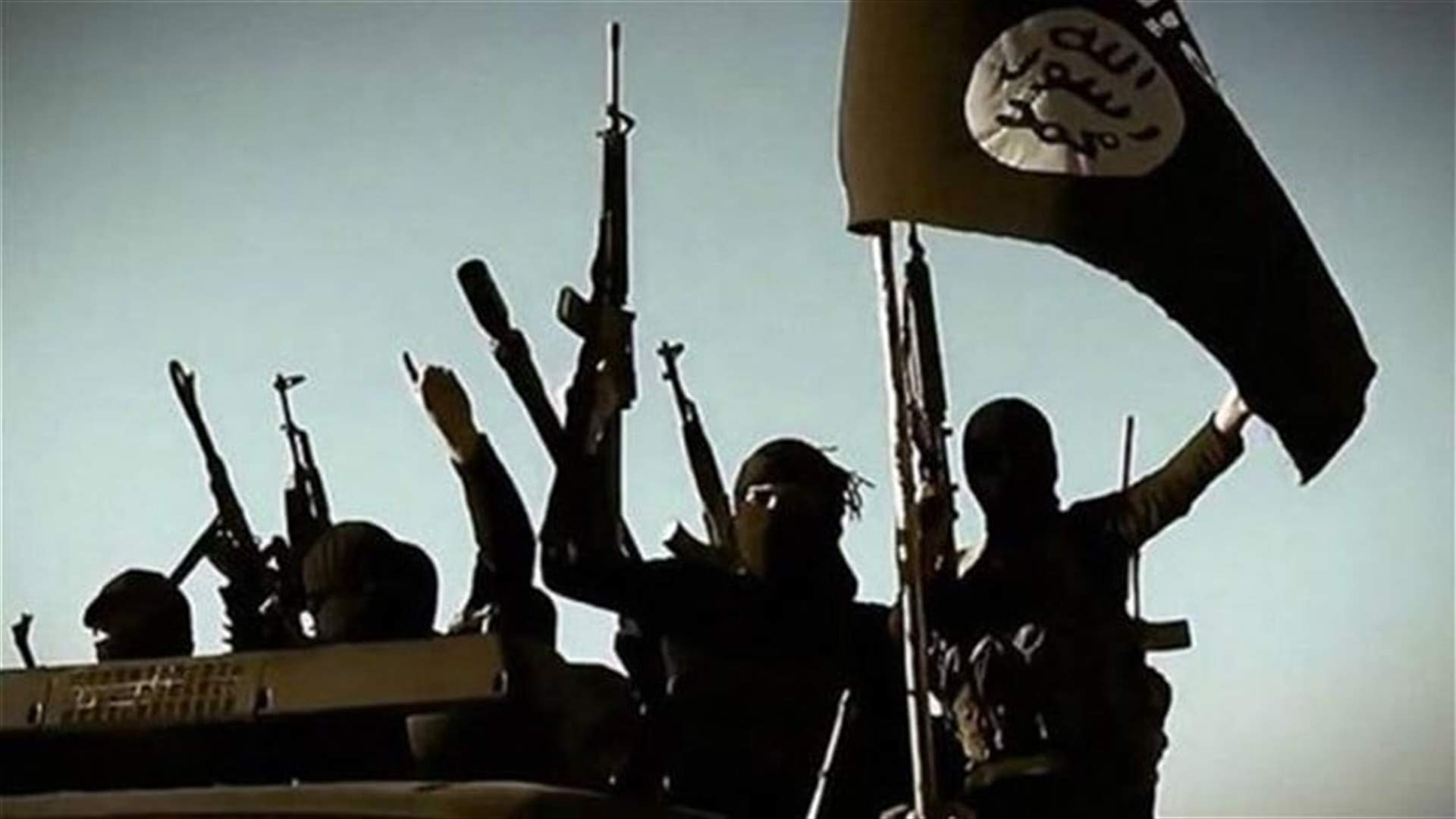 غارة أميركية تقتل قياديين في تنظيم الدولة الإسلامية في سوريا