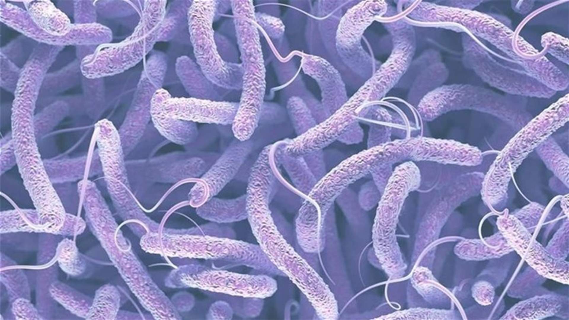 لا إصابات جديدة بالكوليرا ولا وفيات