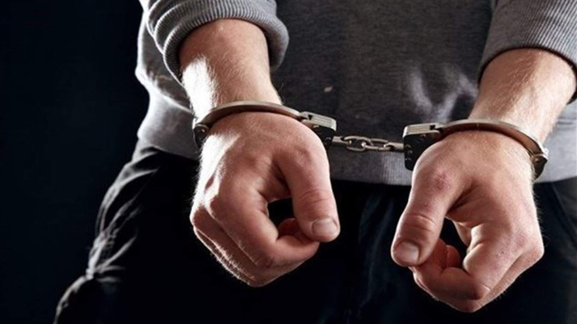 توقيف 4 أشخاص يسرقون منتجات البساتين في كفررمان