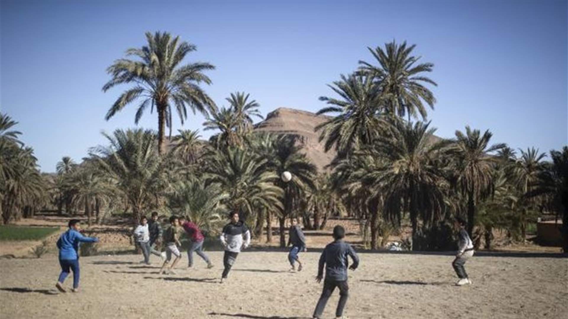 Climate change threatens centuries-old oases in Morocco