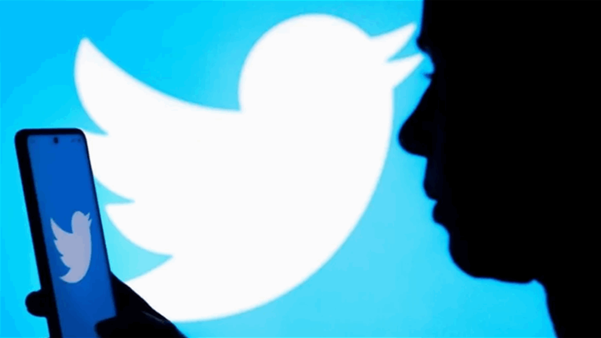 Twitter back online after global outage hits thousands